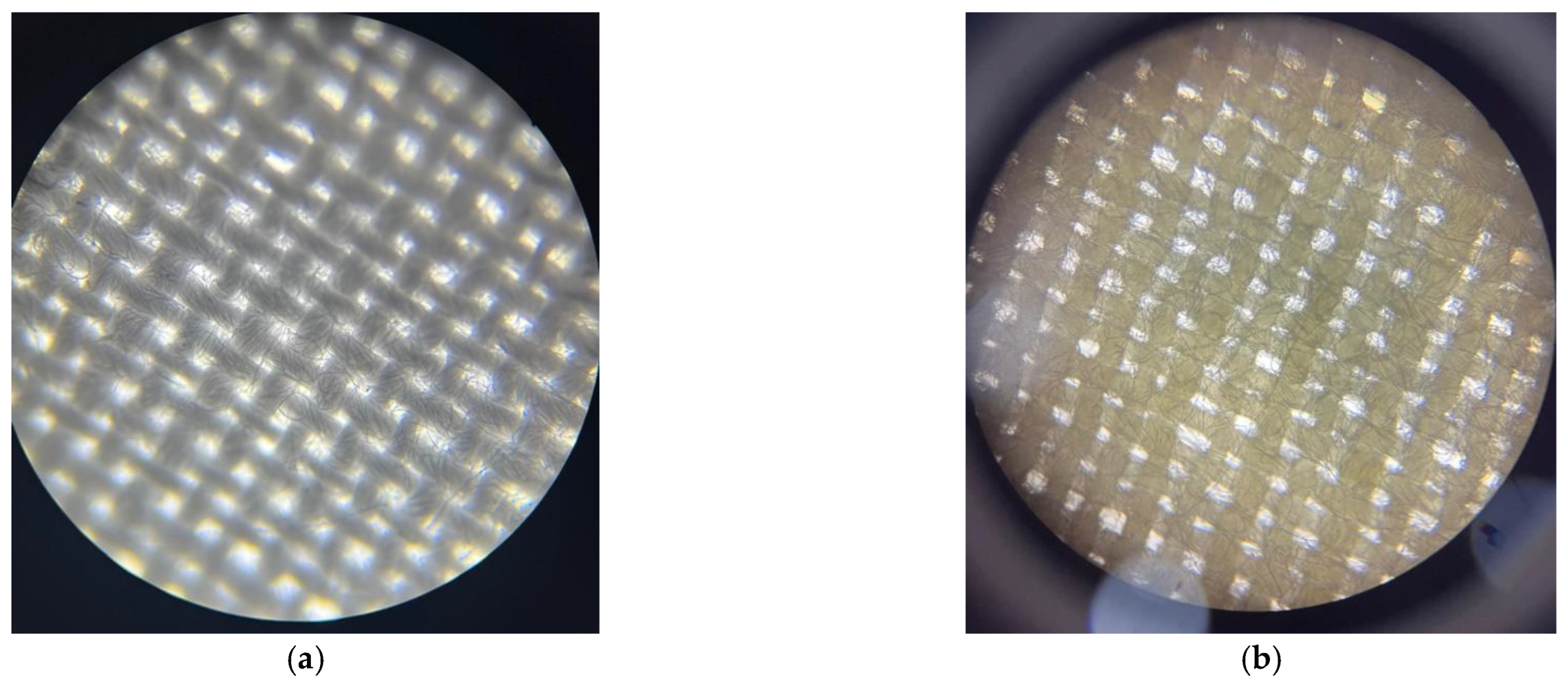 Processes 12 02584 g006