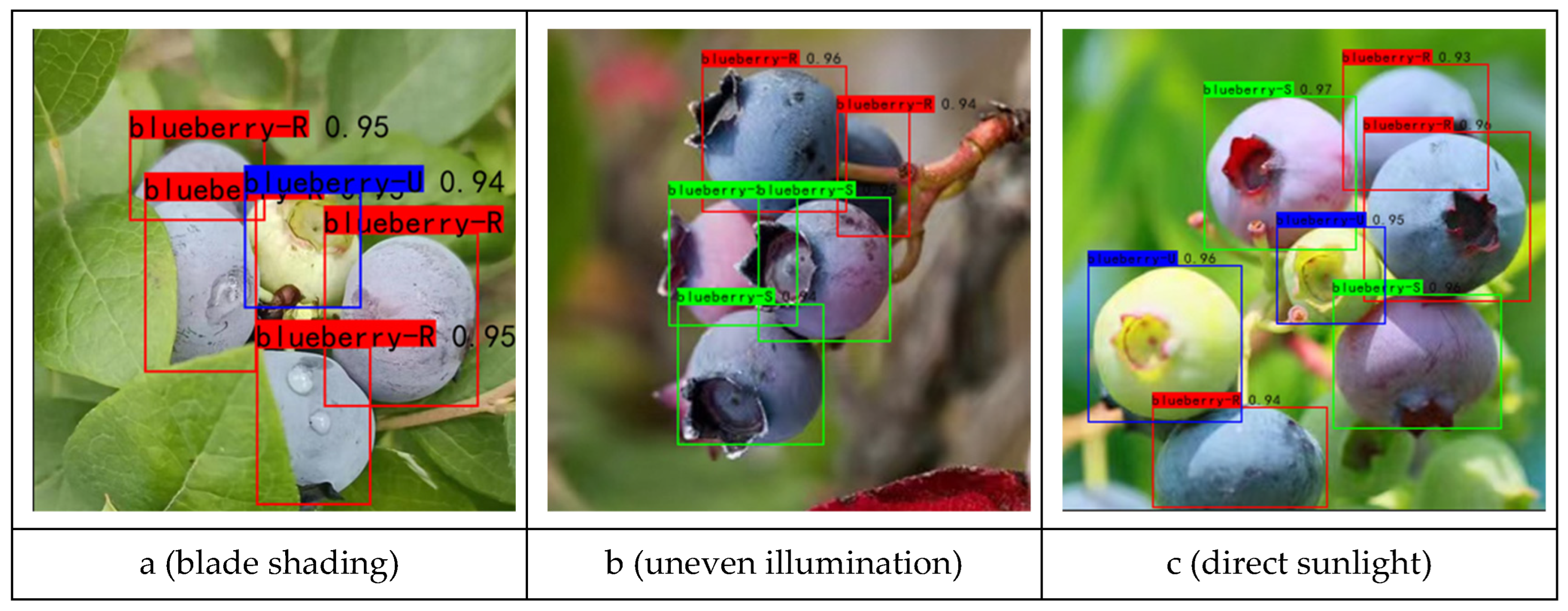 Processes 12 02591 g003a