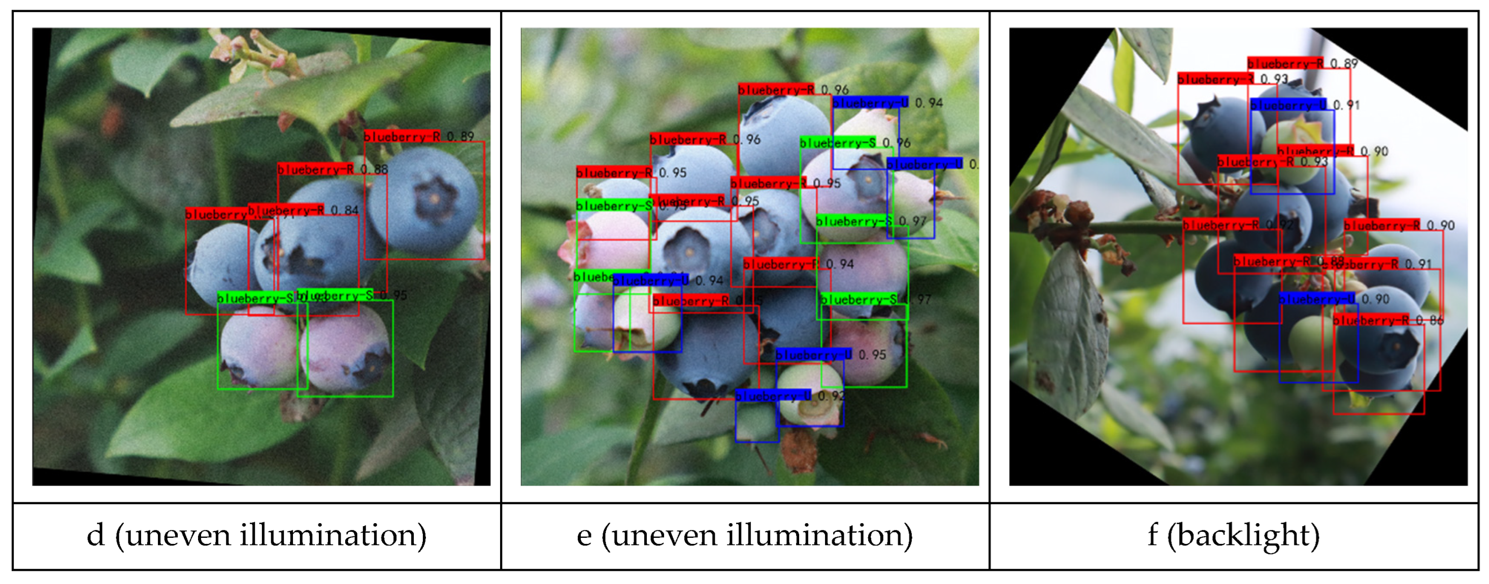 Processes 12 02591 g003b
