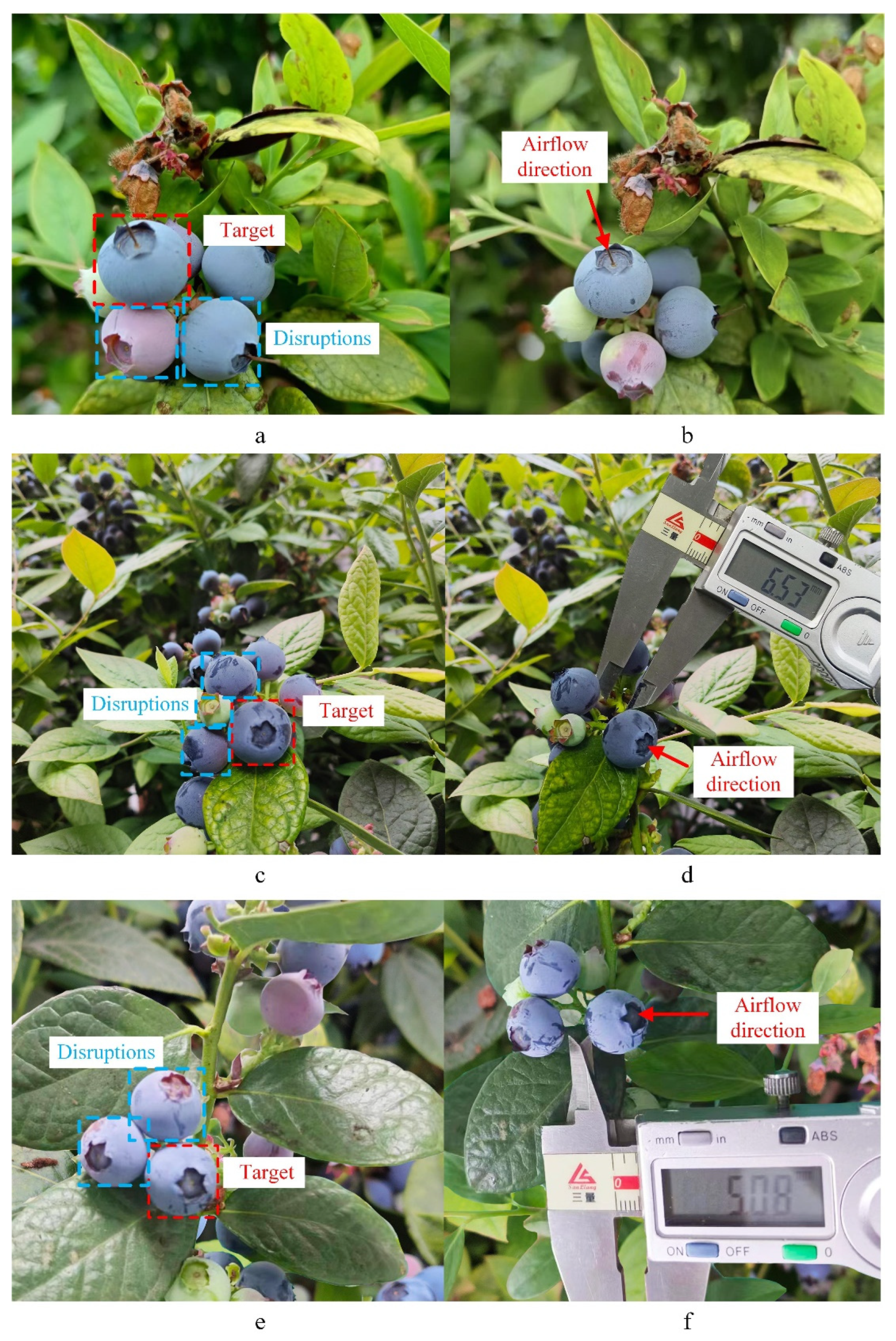 Processes 12 02591 g016