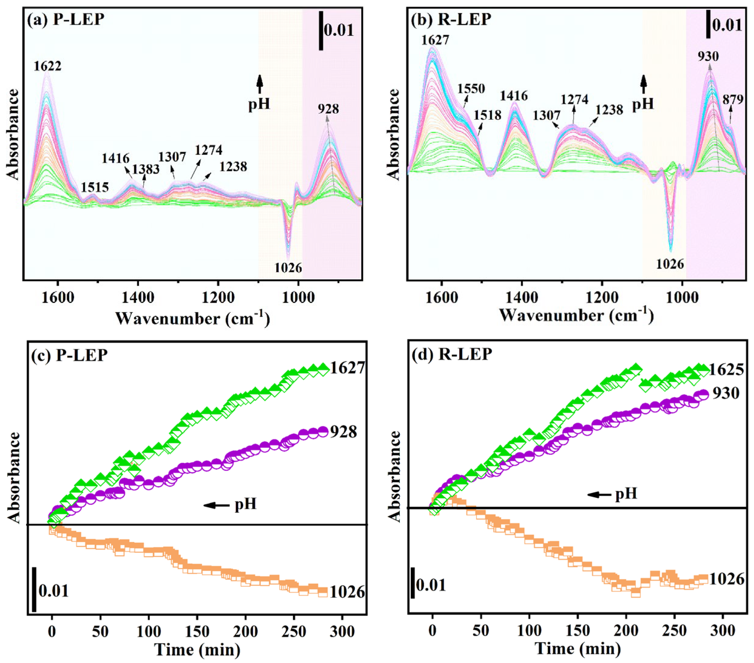 Processes 12 02598 g005