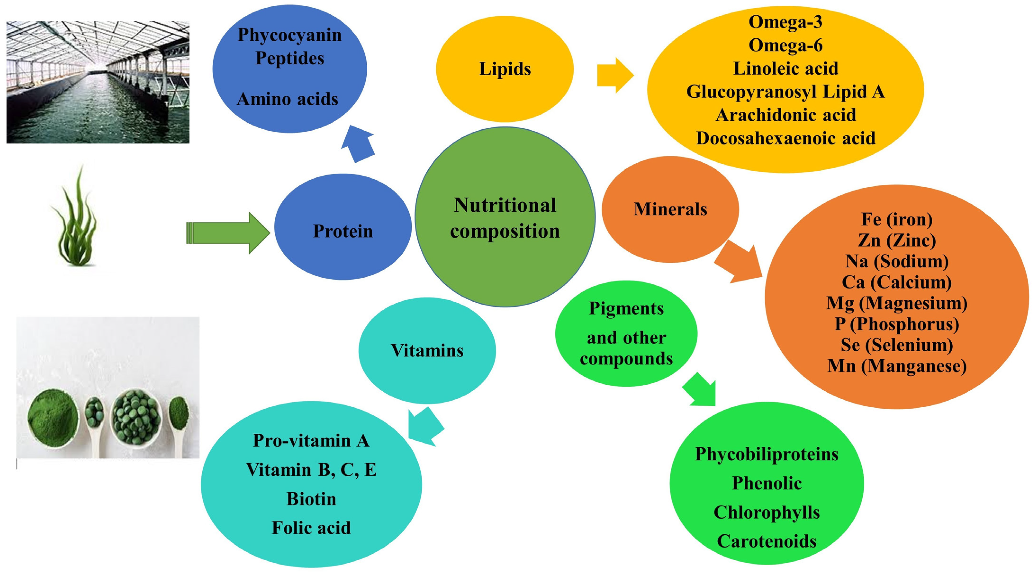 Processes 12 02608 g001