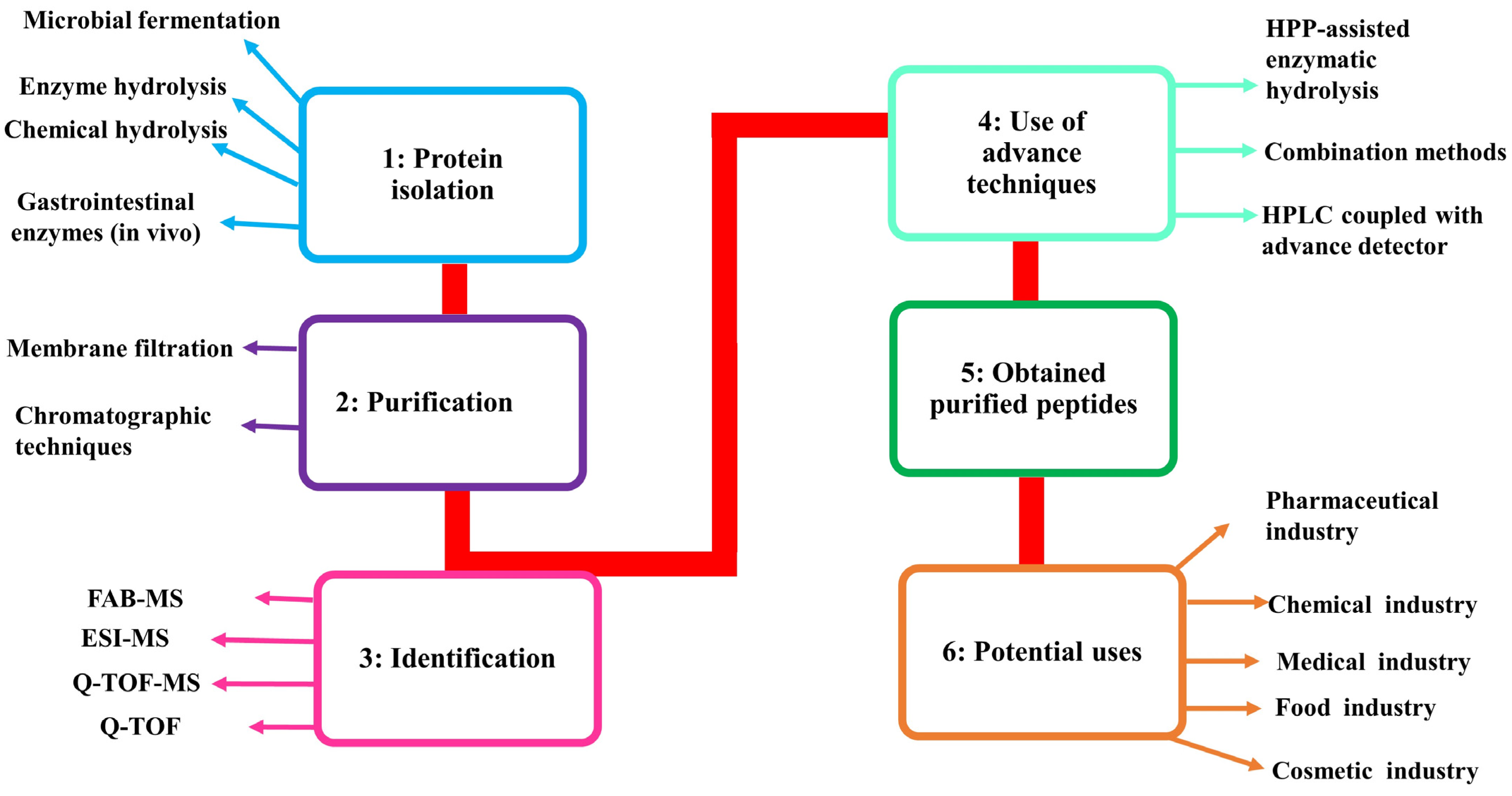 Processes 12 02608 g002