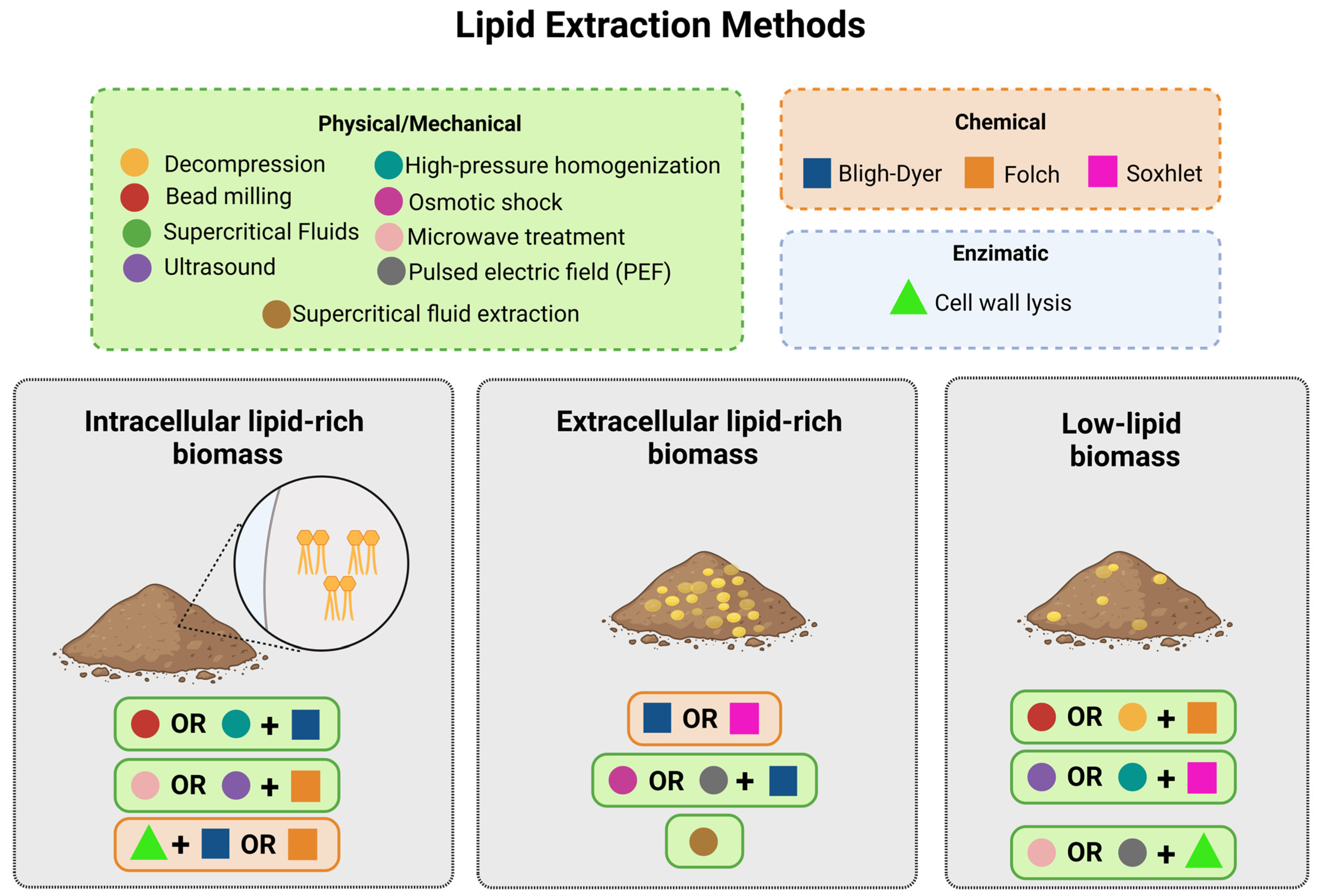 Processes 12 02903 g003 Processes 12 02903 g003