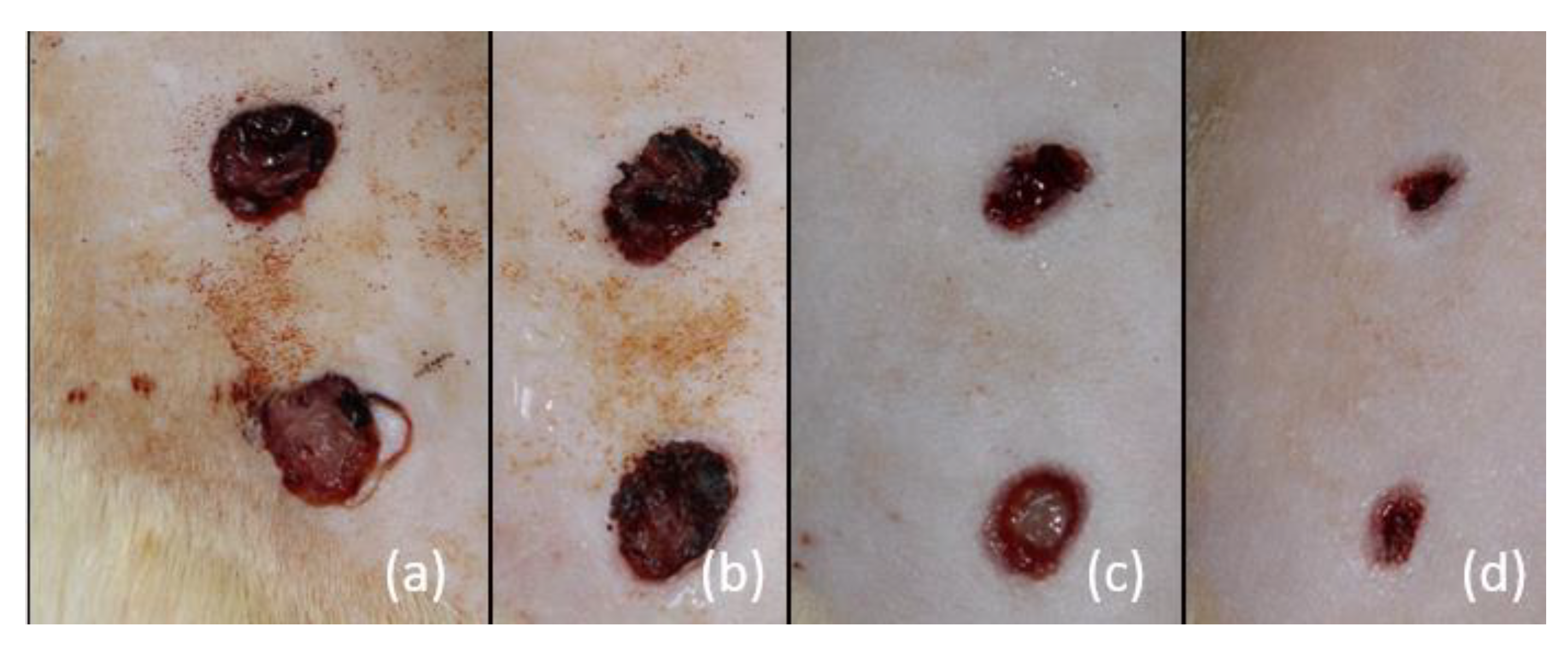 Processes 12 02911 g001