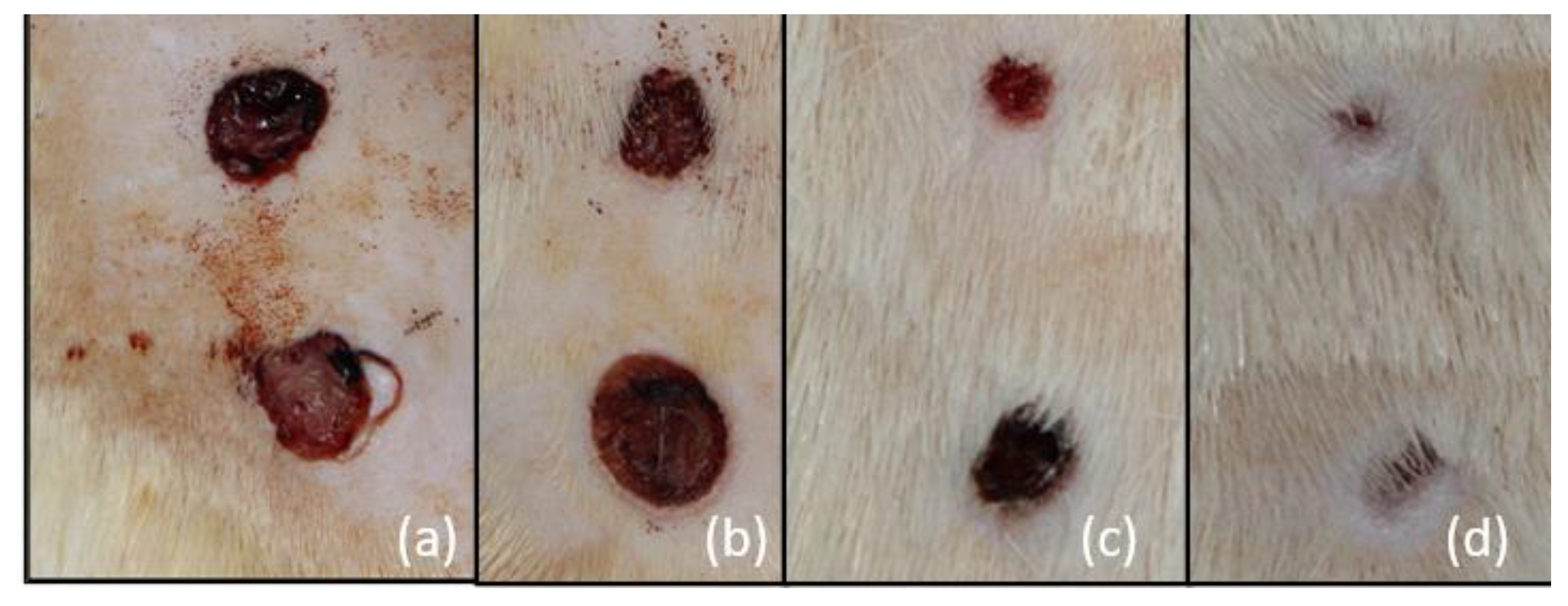 Processes 12 02911 g002