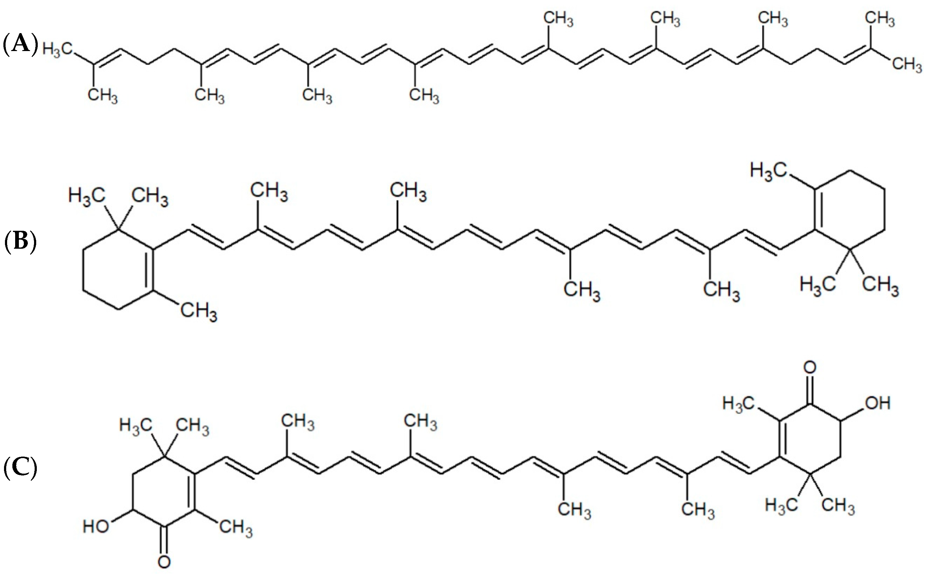 Processes 13 00010 g001