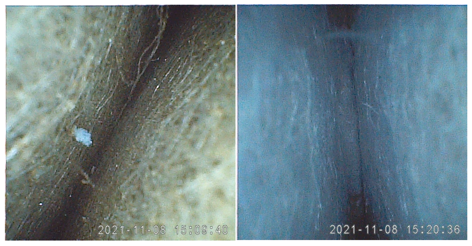 Processes 13 00012 g003