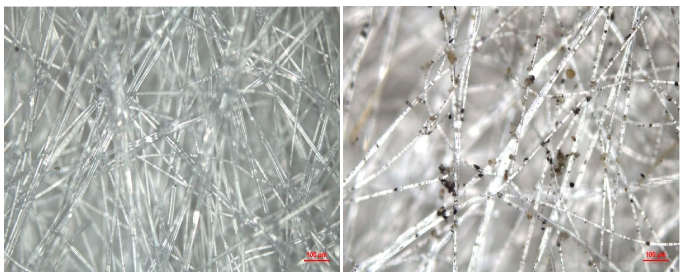 Processes 13 00012 g004