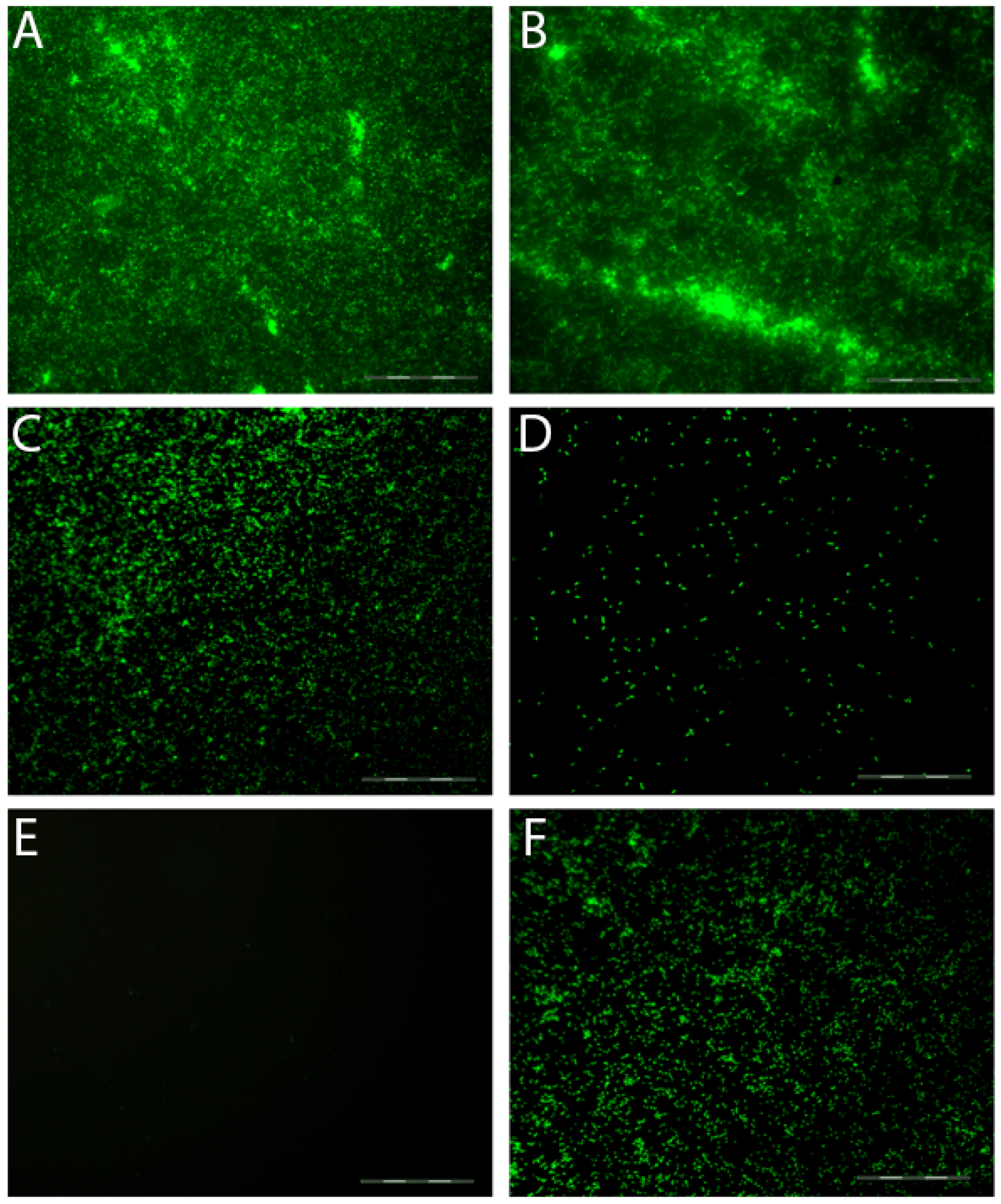 Processes 13 00018 g002