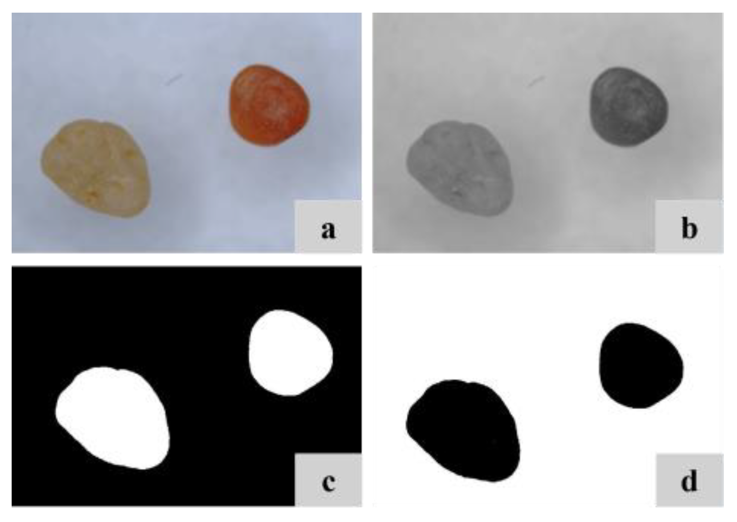 Processes 13 00021 g003