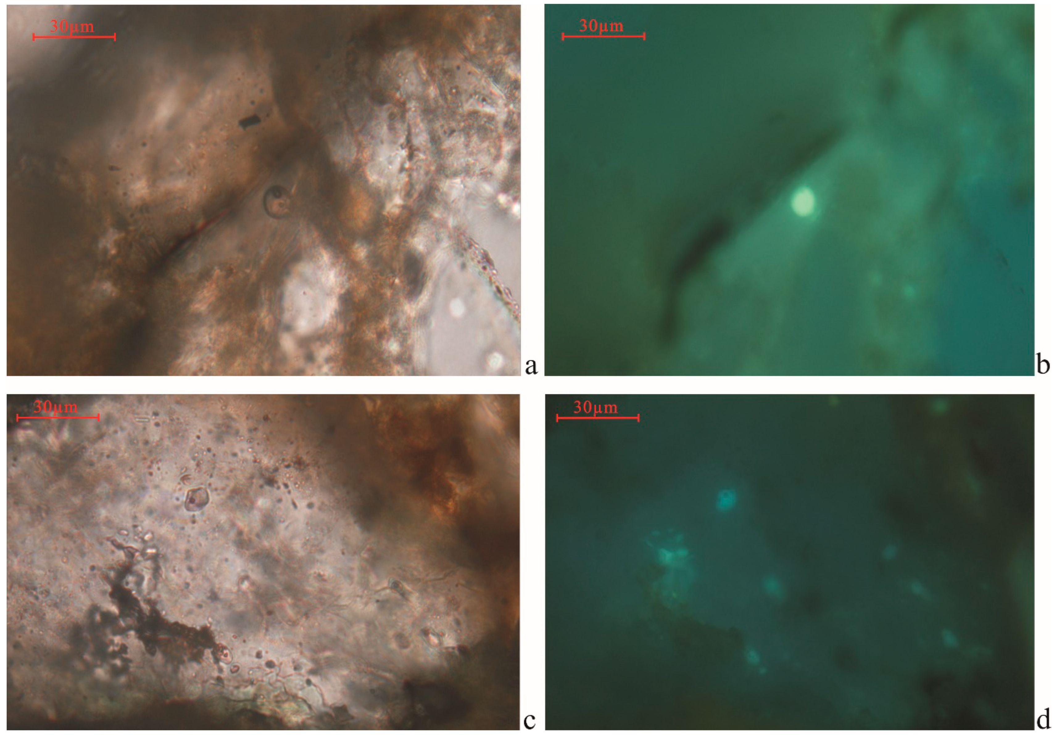 Processes 13 00024 g006