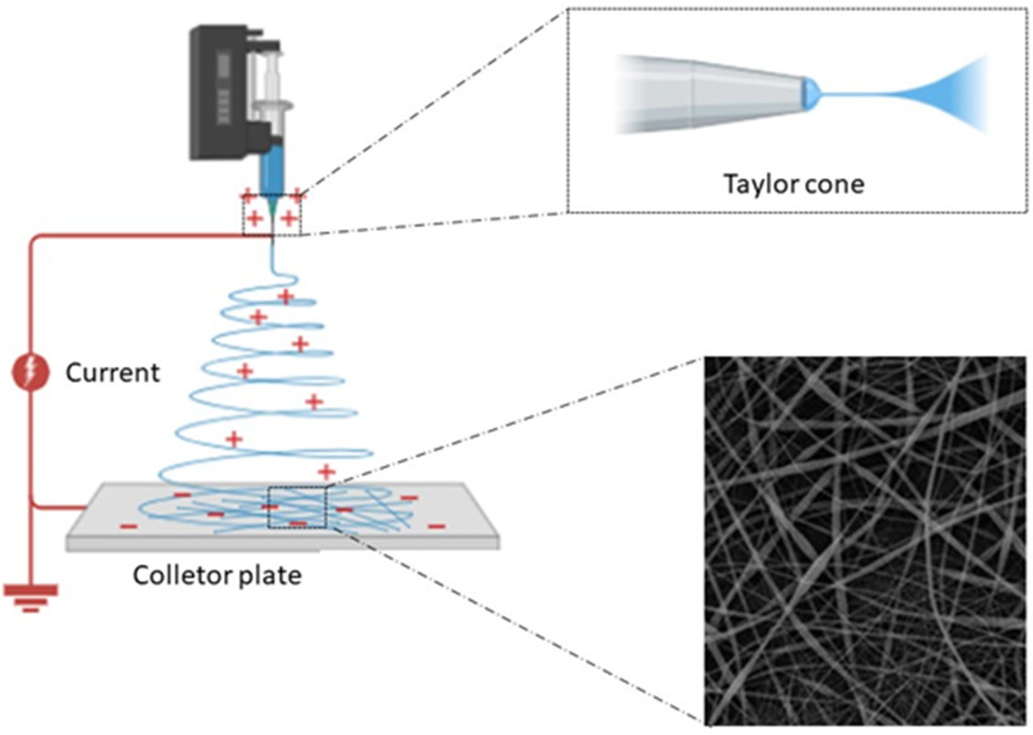 Processes 13 00044 g001