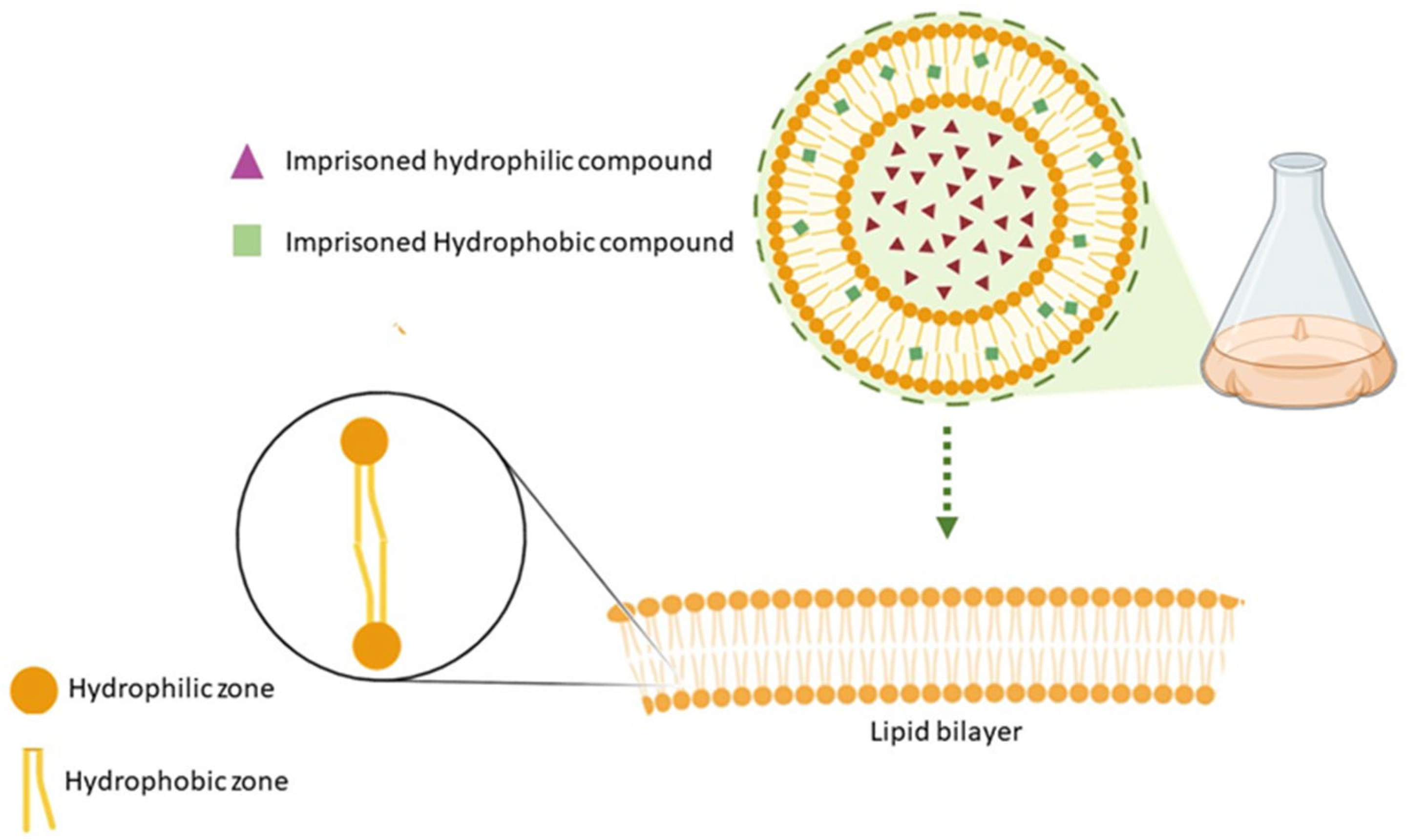 Processes 13 00044 g002