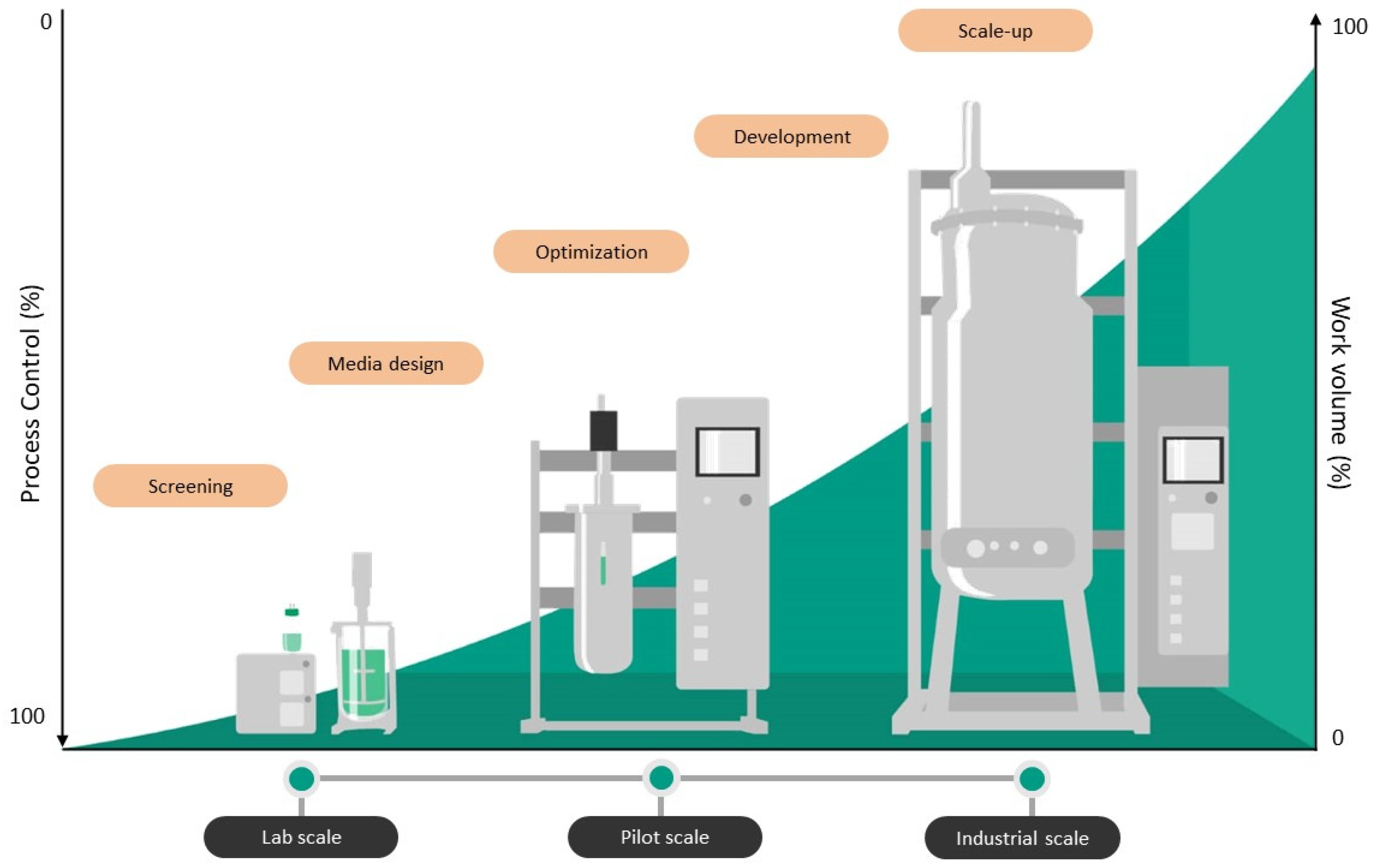 Processes 13 00051 g001