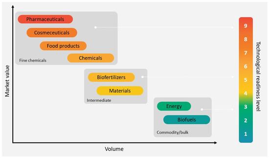 Processes 13 00051 g004