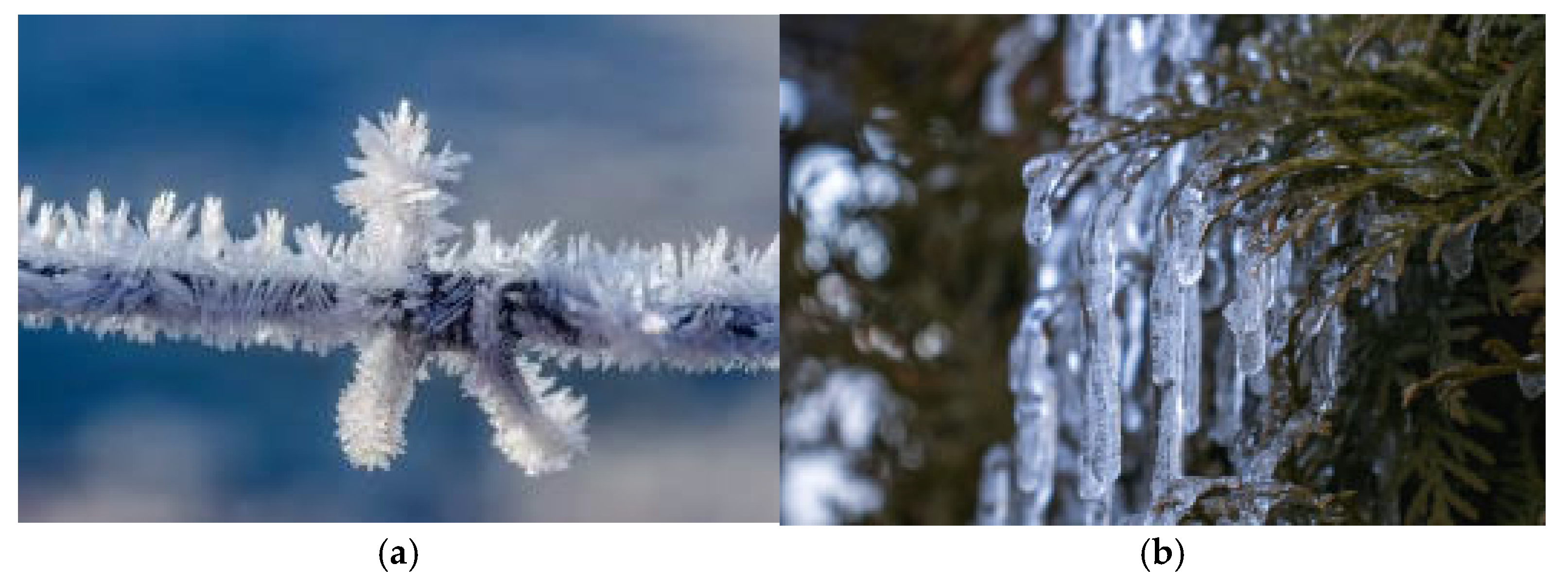 Processes 13 00065 g002