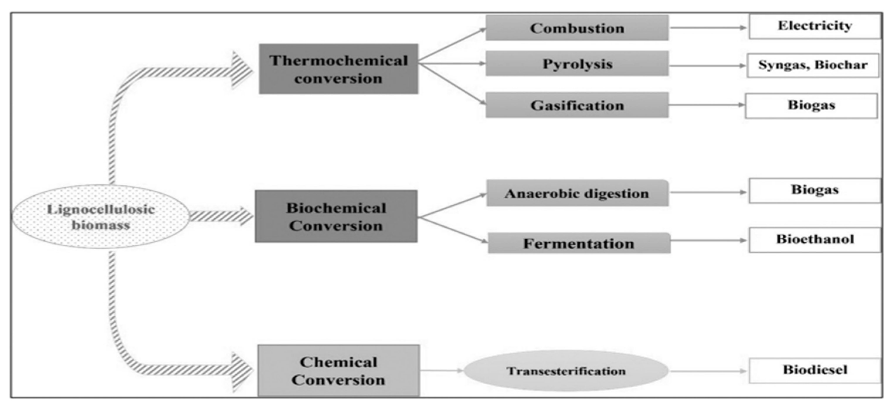 Processes 13 00069 g013