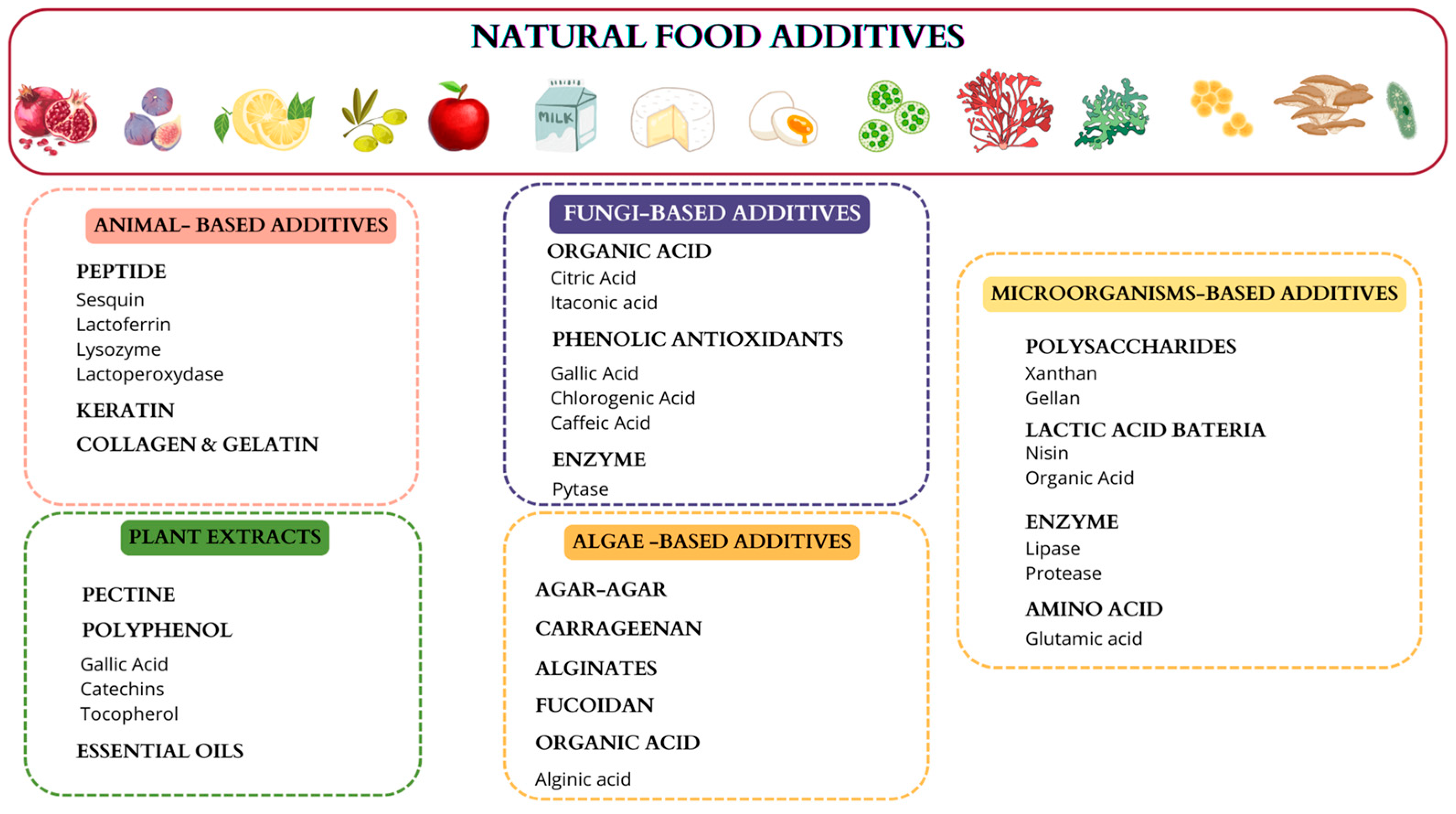 Processes 13 00093 g003