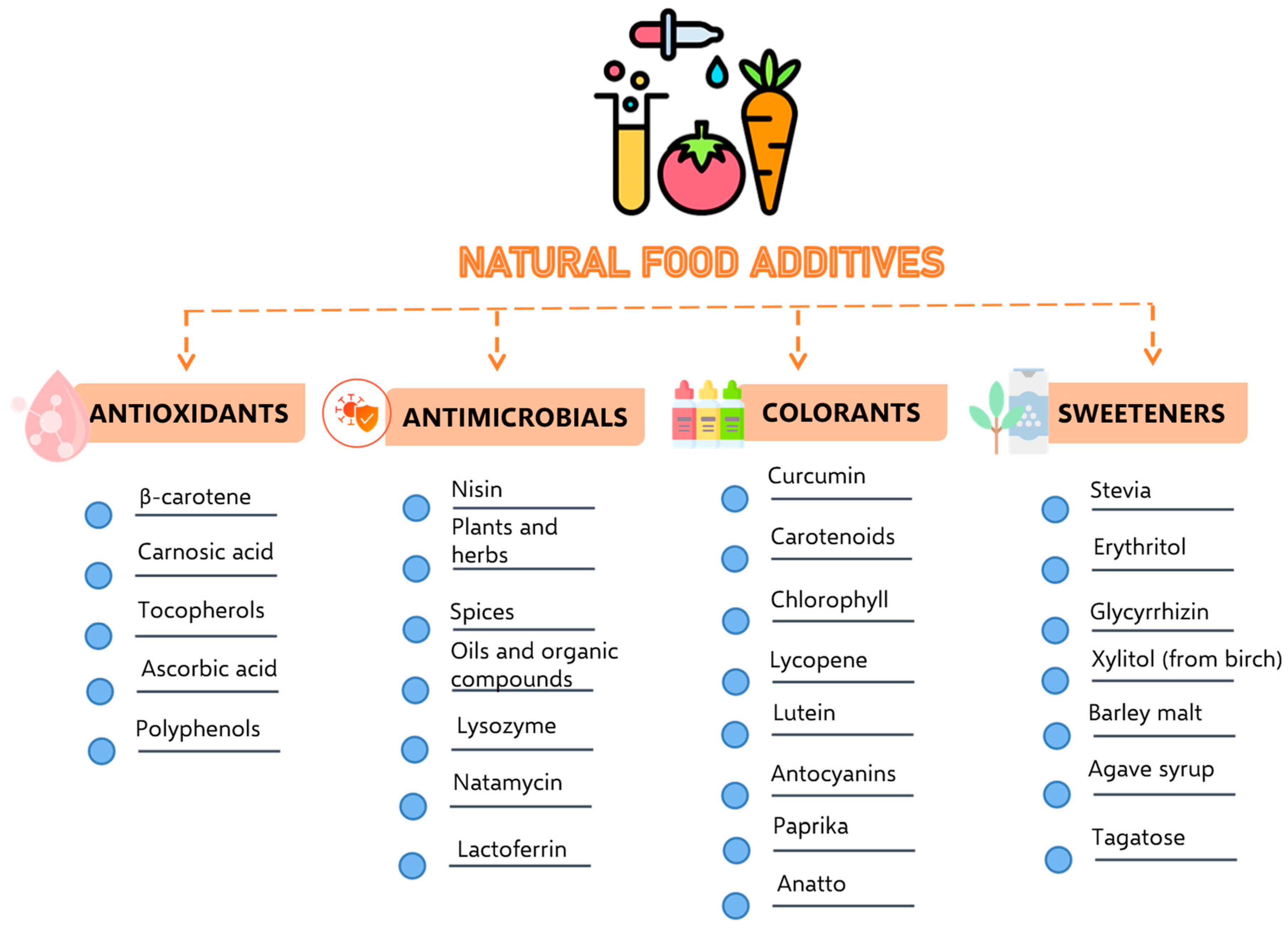 Processes 13 00093 g004