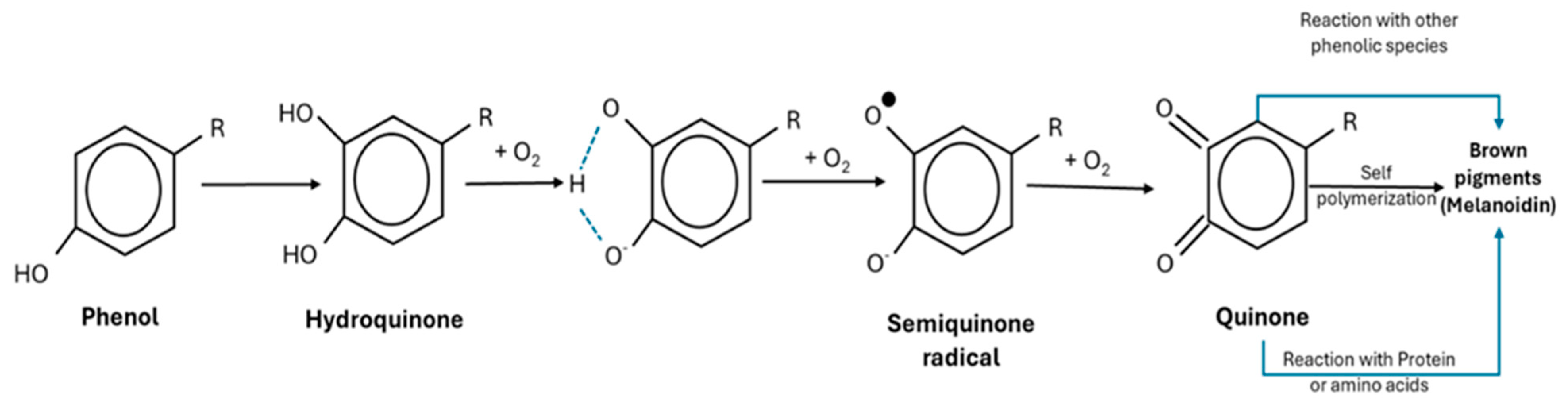 Processes 13 00093 g005
