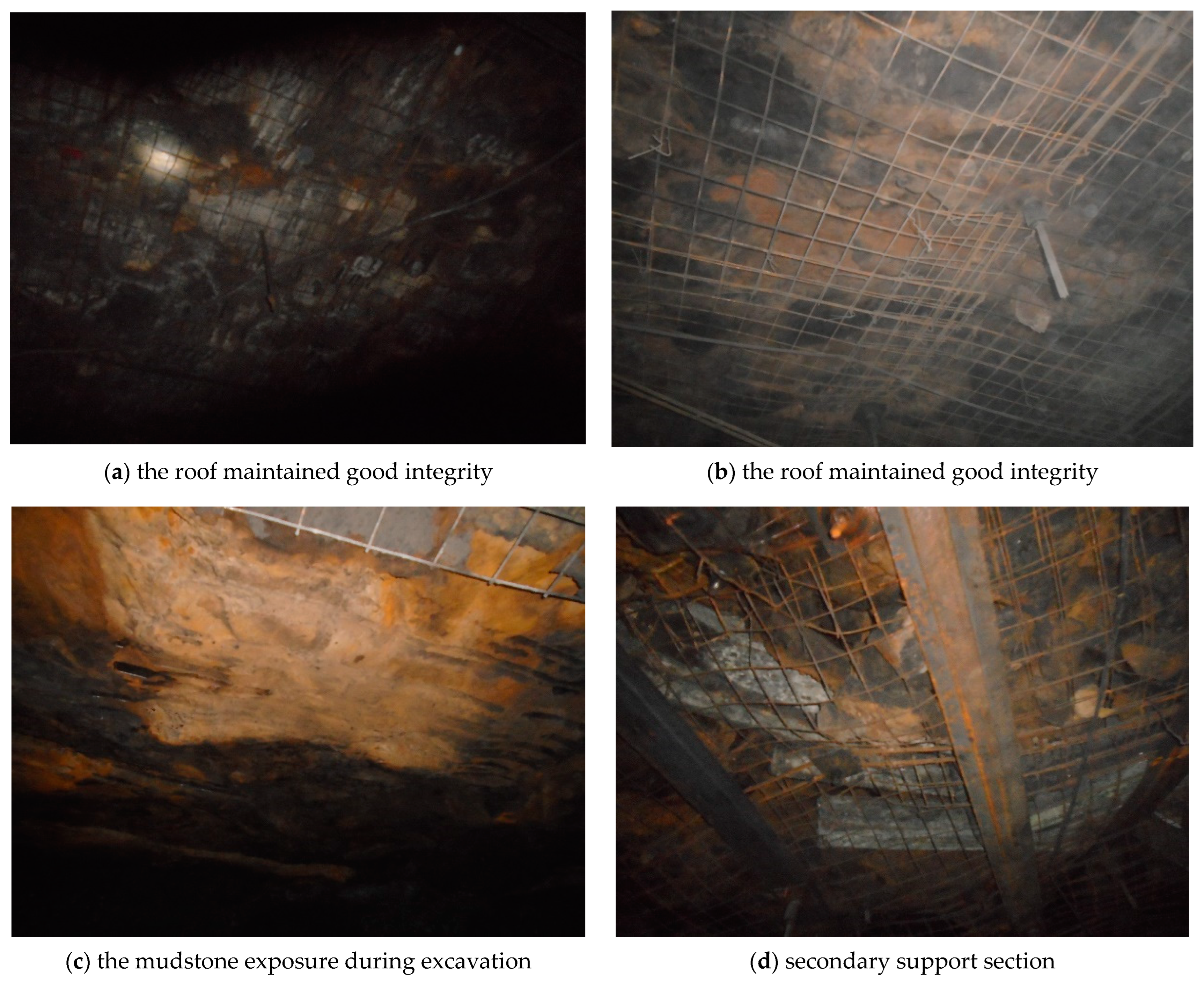 Processes 13 00094 g003