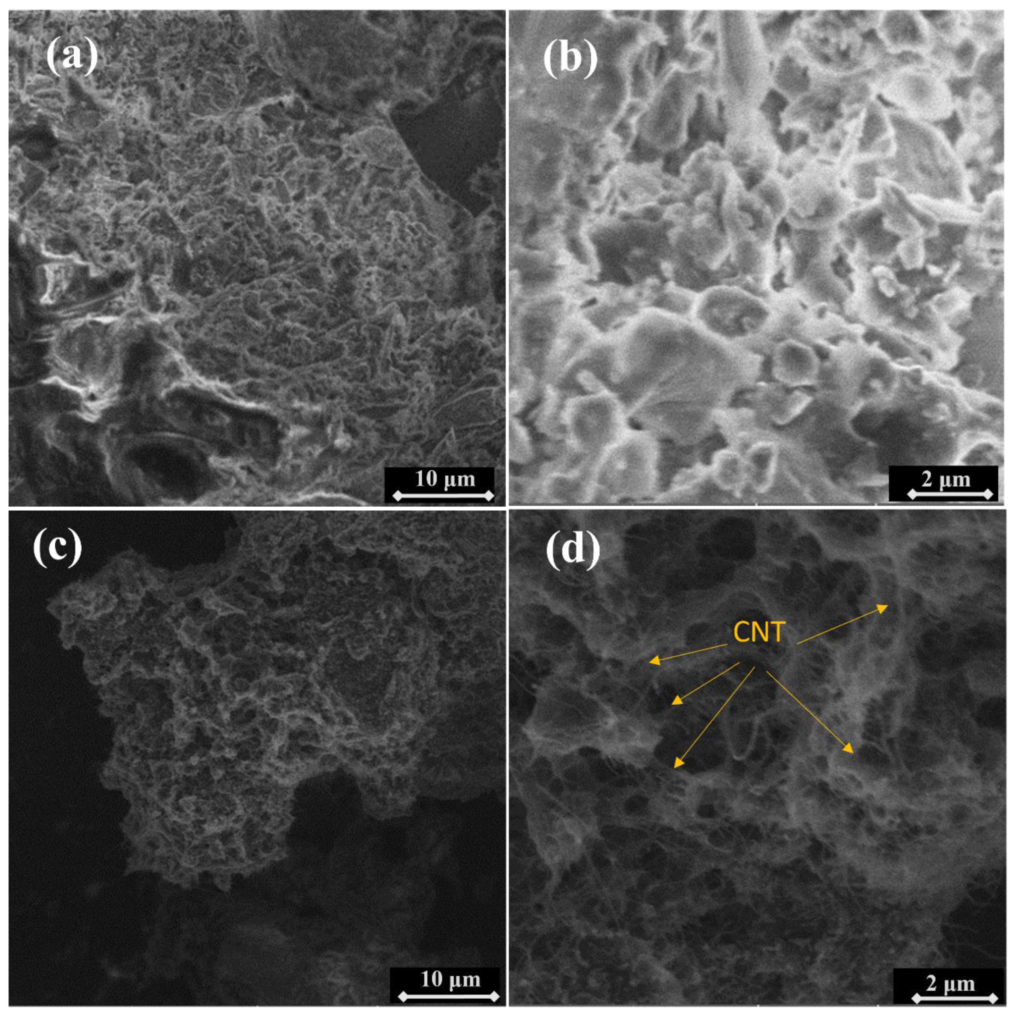 Processes 13 00111 g012
