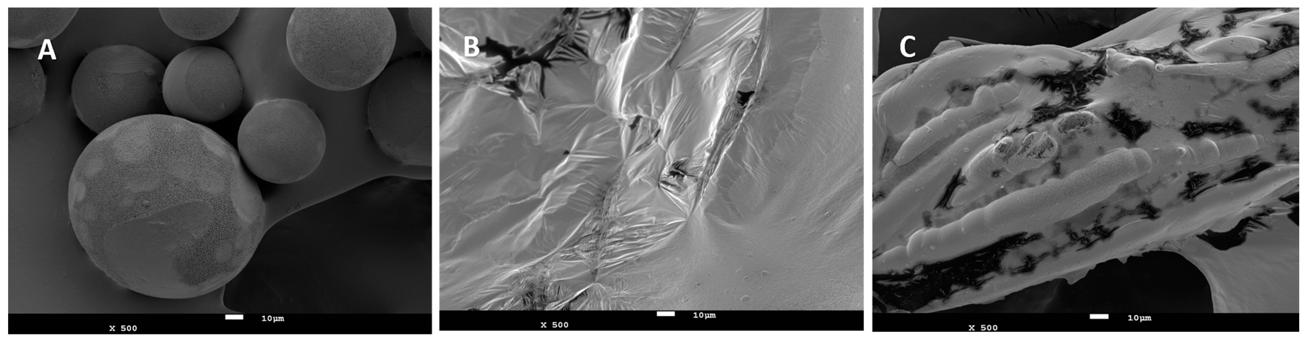 Processes 13 00112 g008