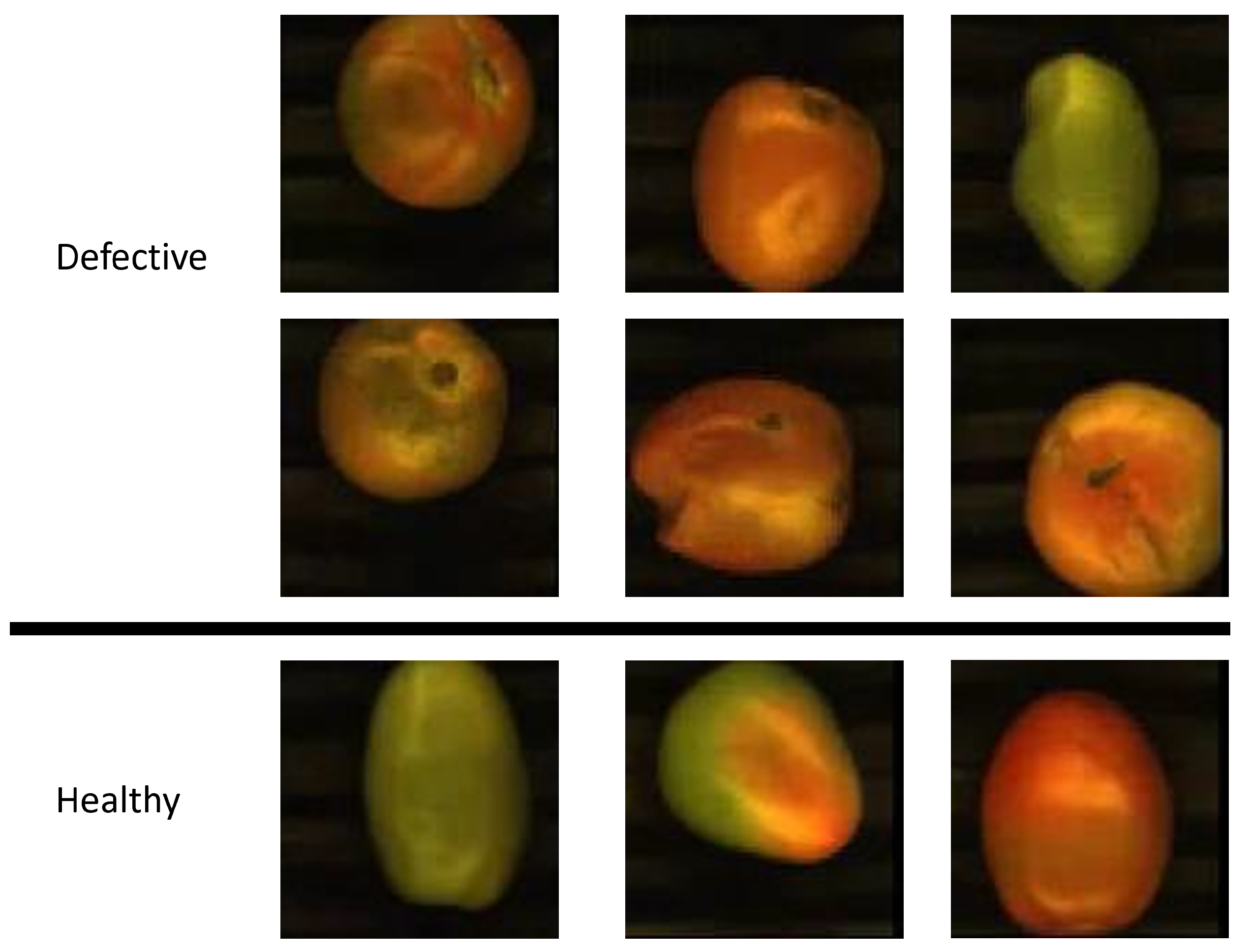 Processes 13 00115 g002