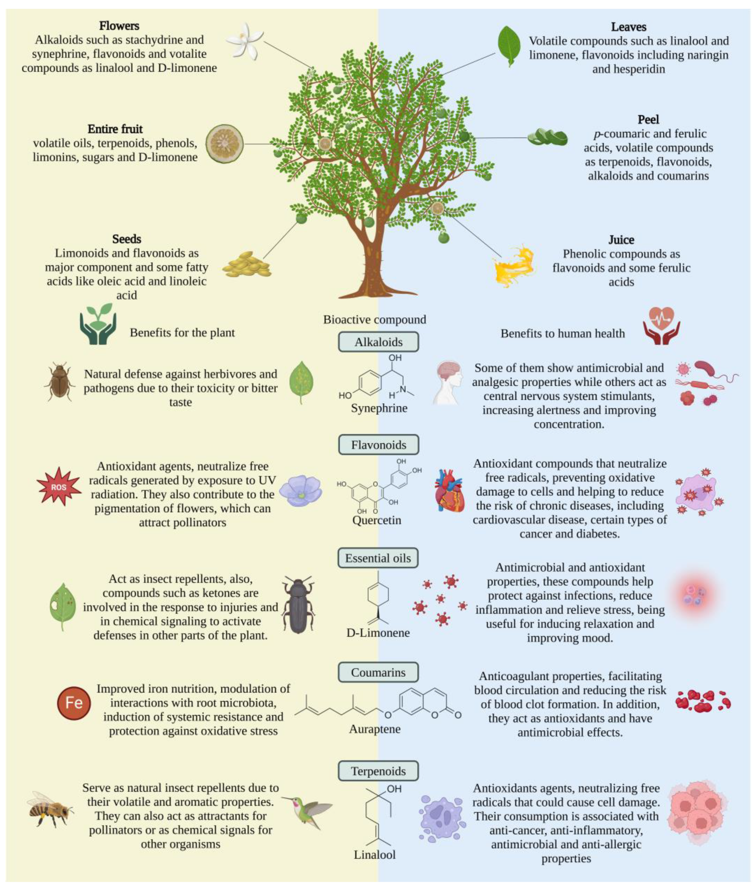 Processes 13 00120 g001