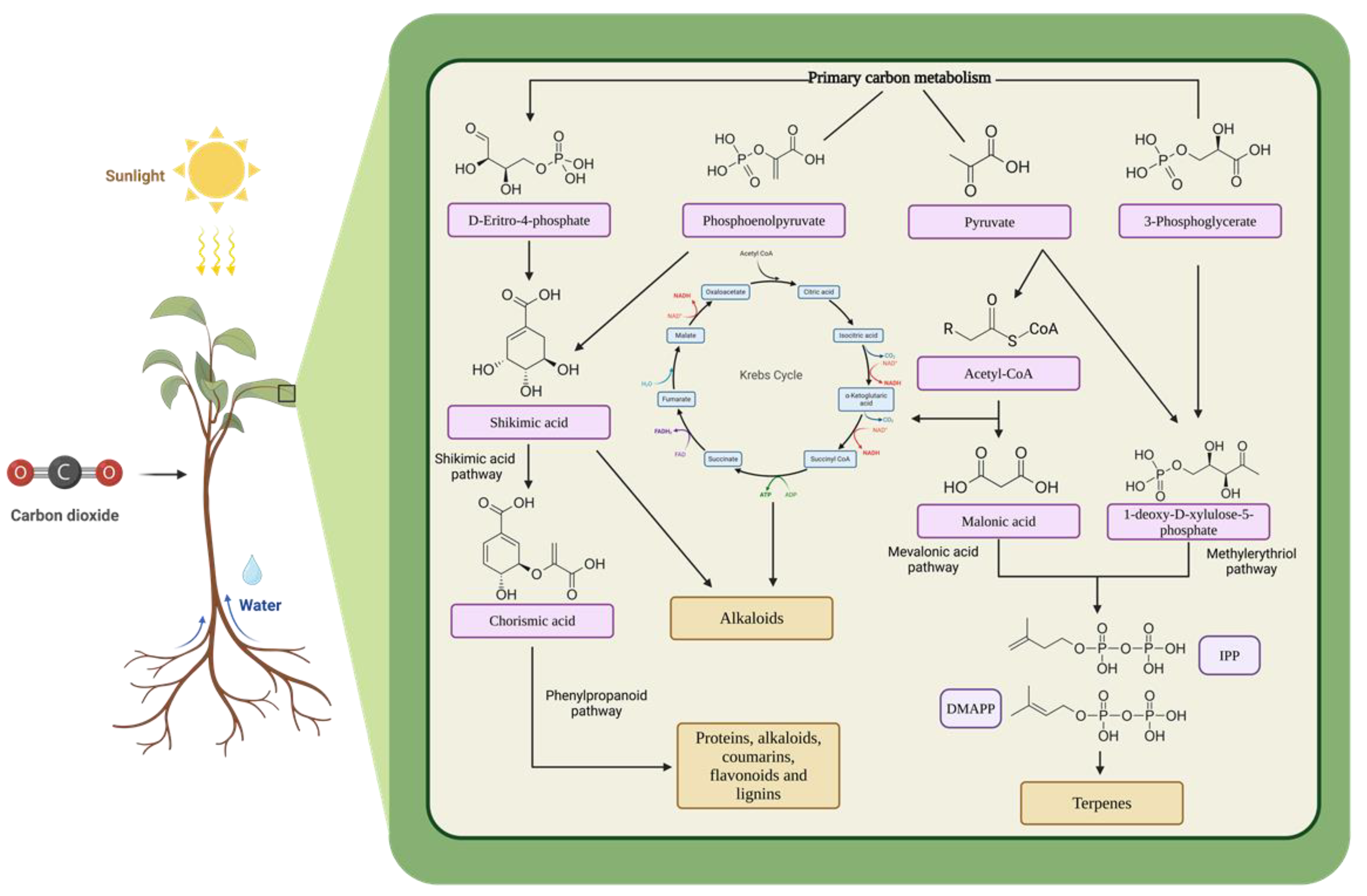 Processes 13 00120 g002