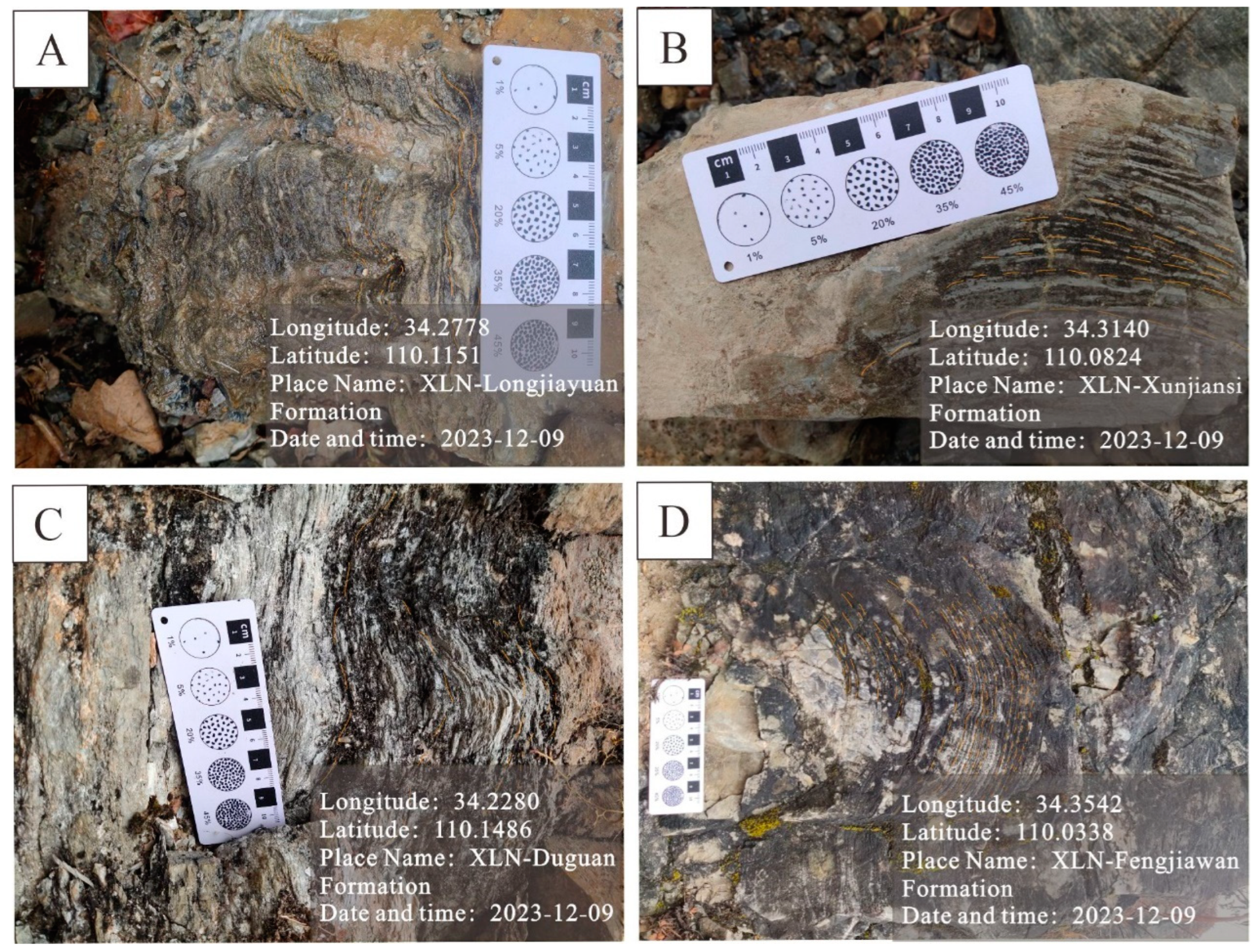Processes 13 00129 g002