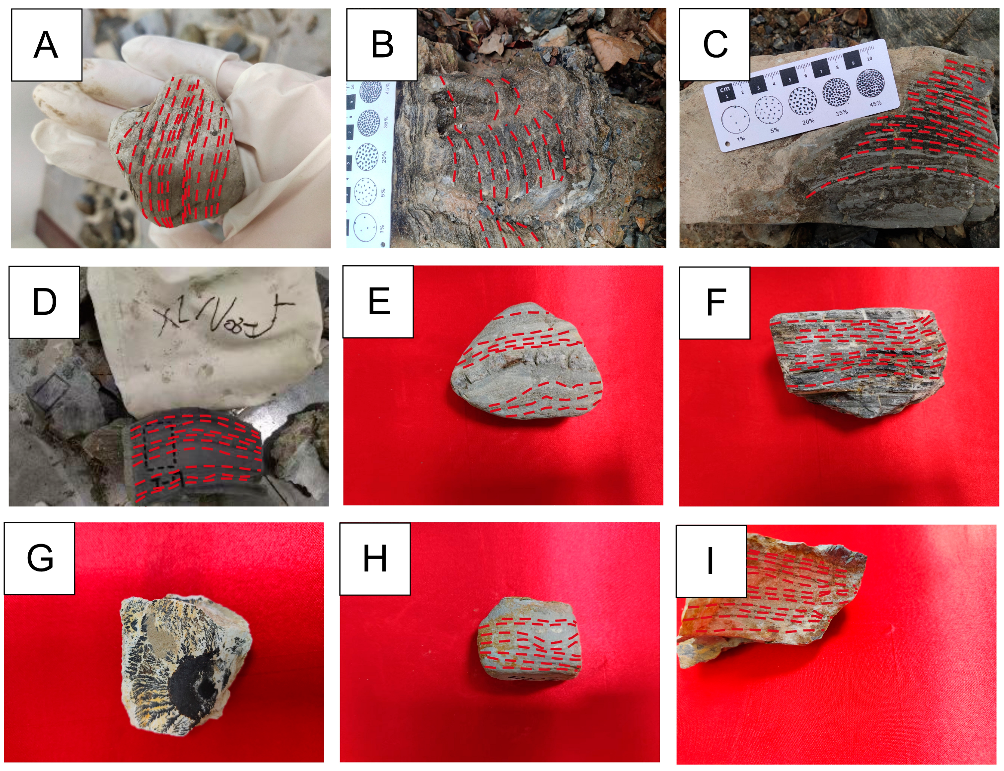 Processes 13 00129 g003