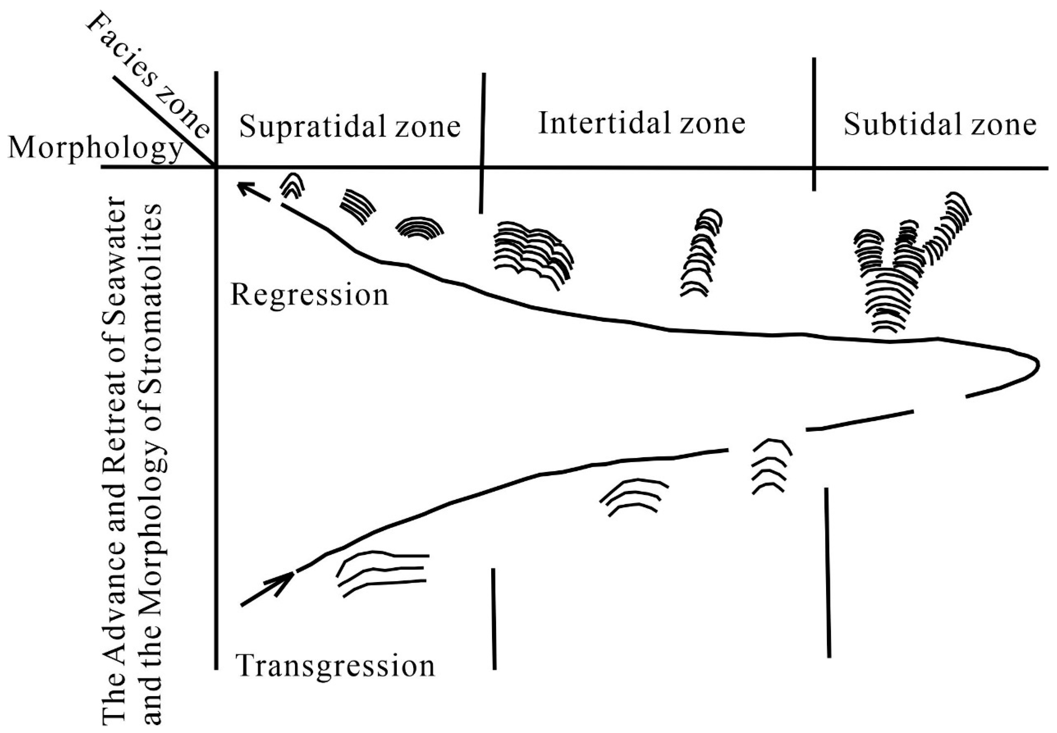 Processes 13 00129 g004