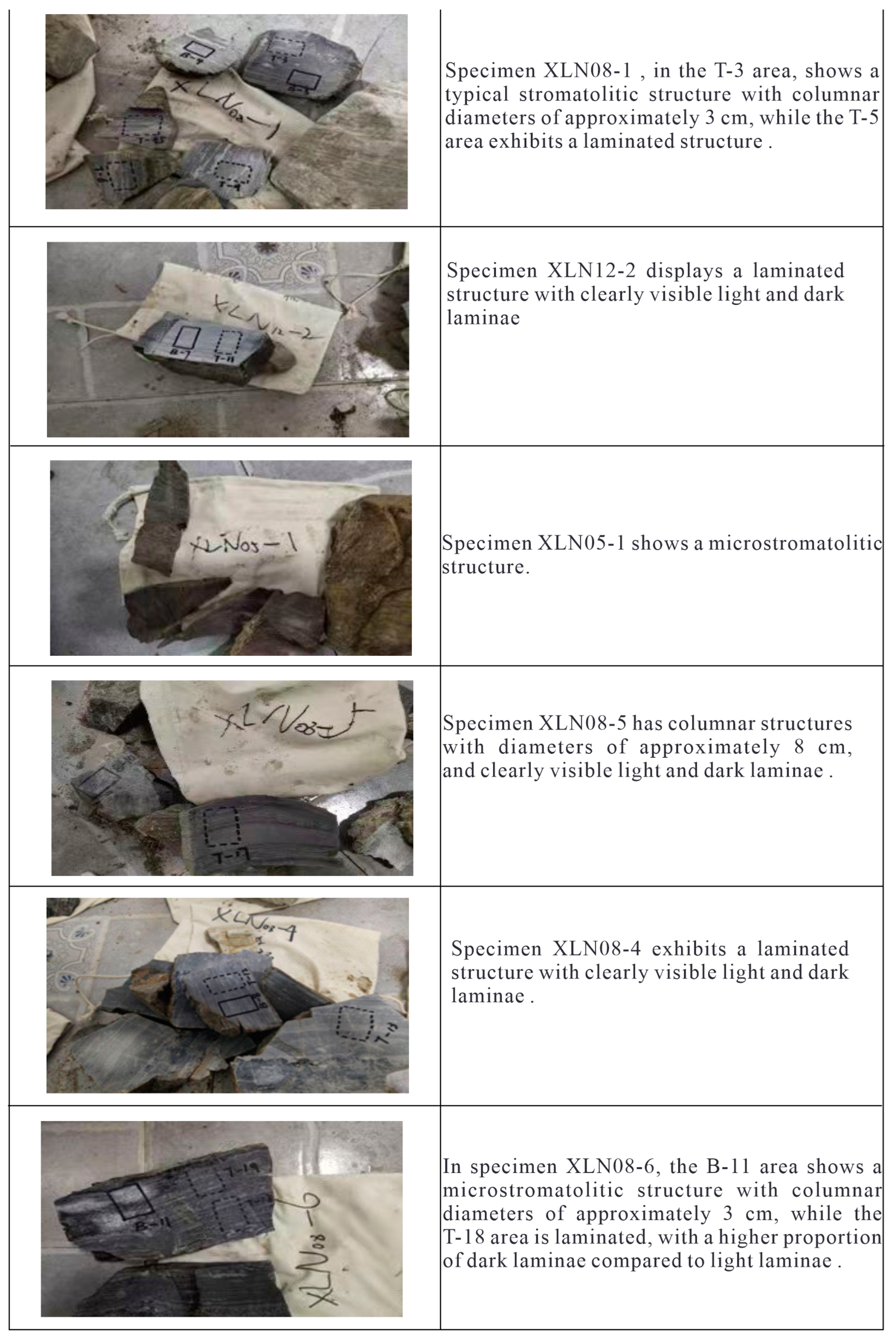 Processes 13 00129 g005