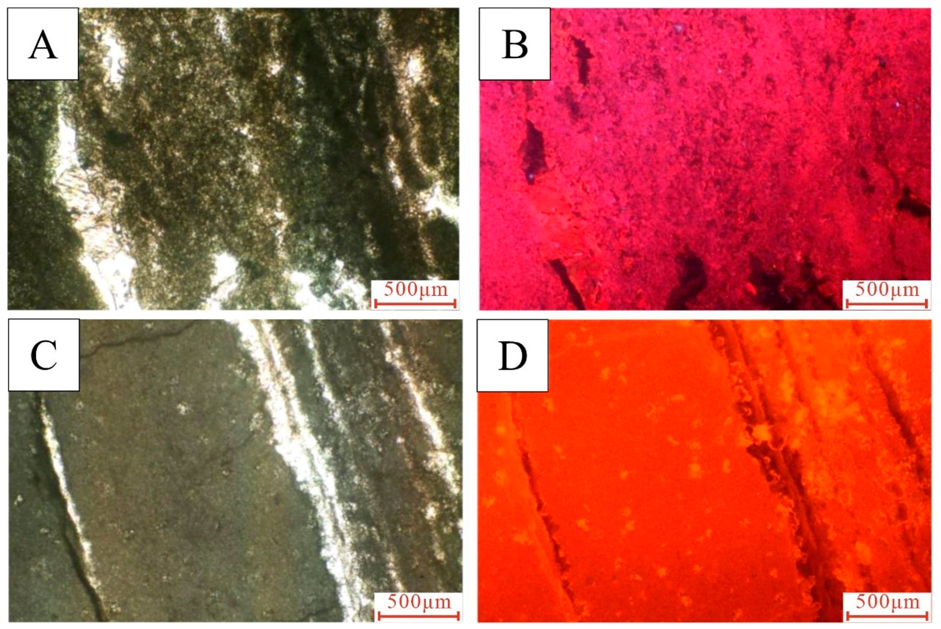 Processes 13 00129 g007