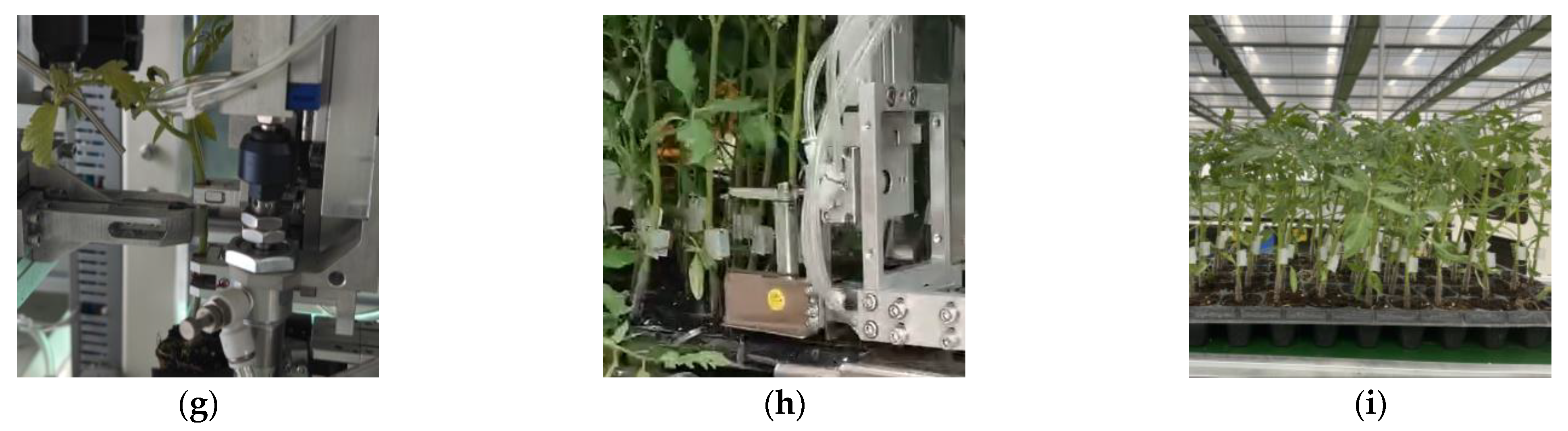 Processes 13 00131 g011b