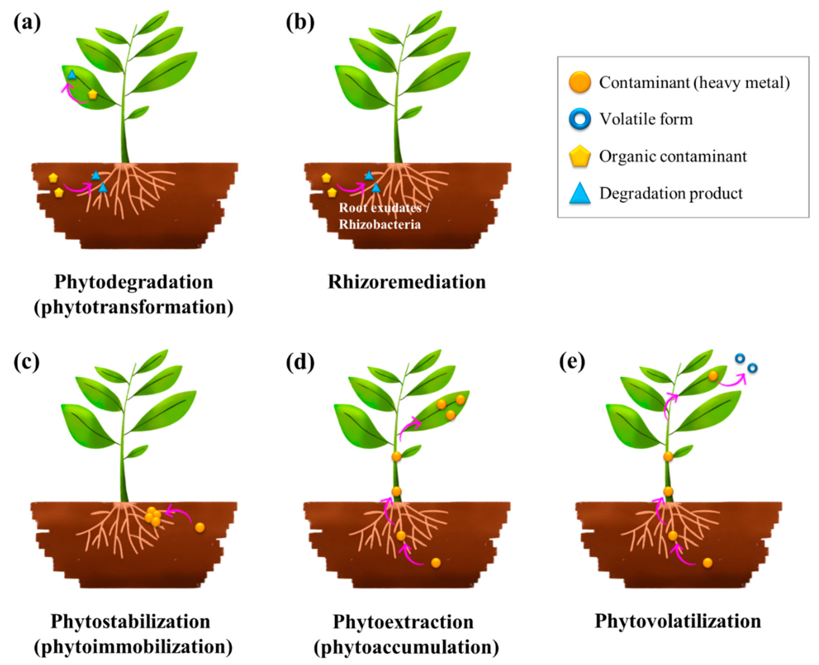 Processes 13 00132 g002