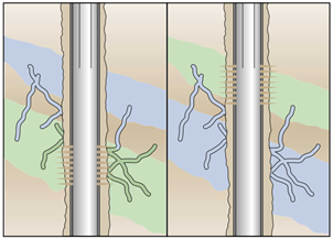 Processes 13 00144 i006
