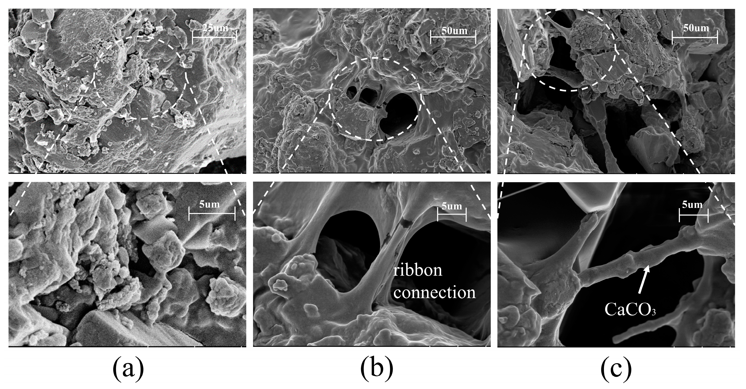 Processes 13 00162 g007