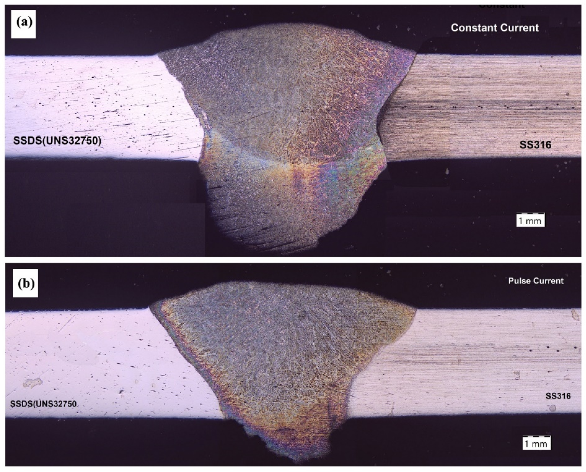 Processes 13 00167 g004