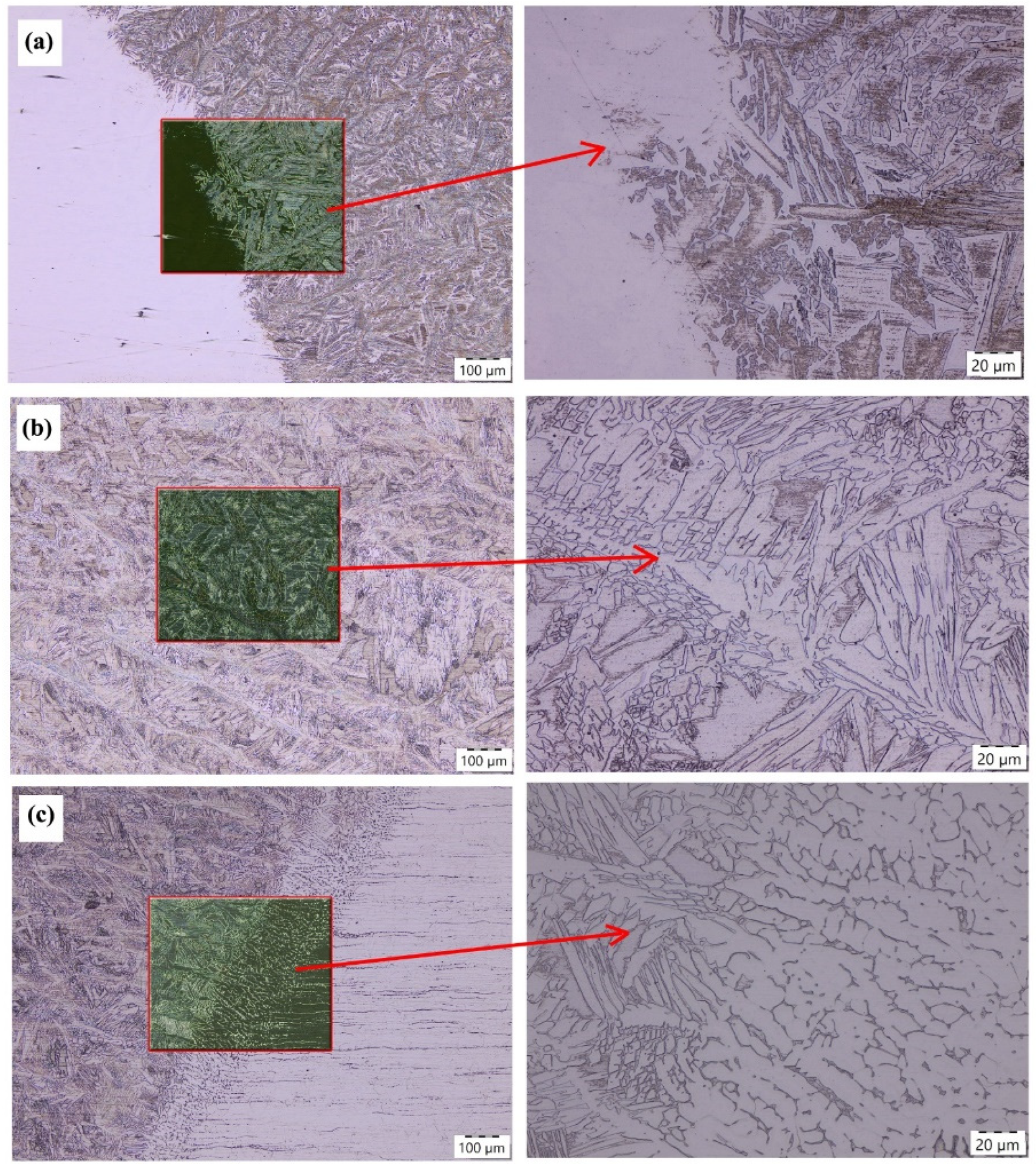 Processes 13 00167 g005