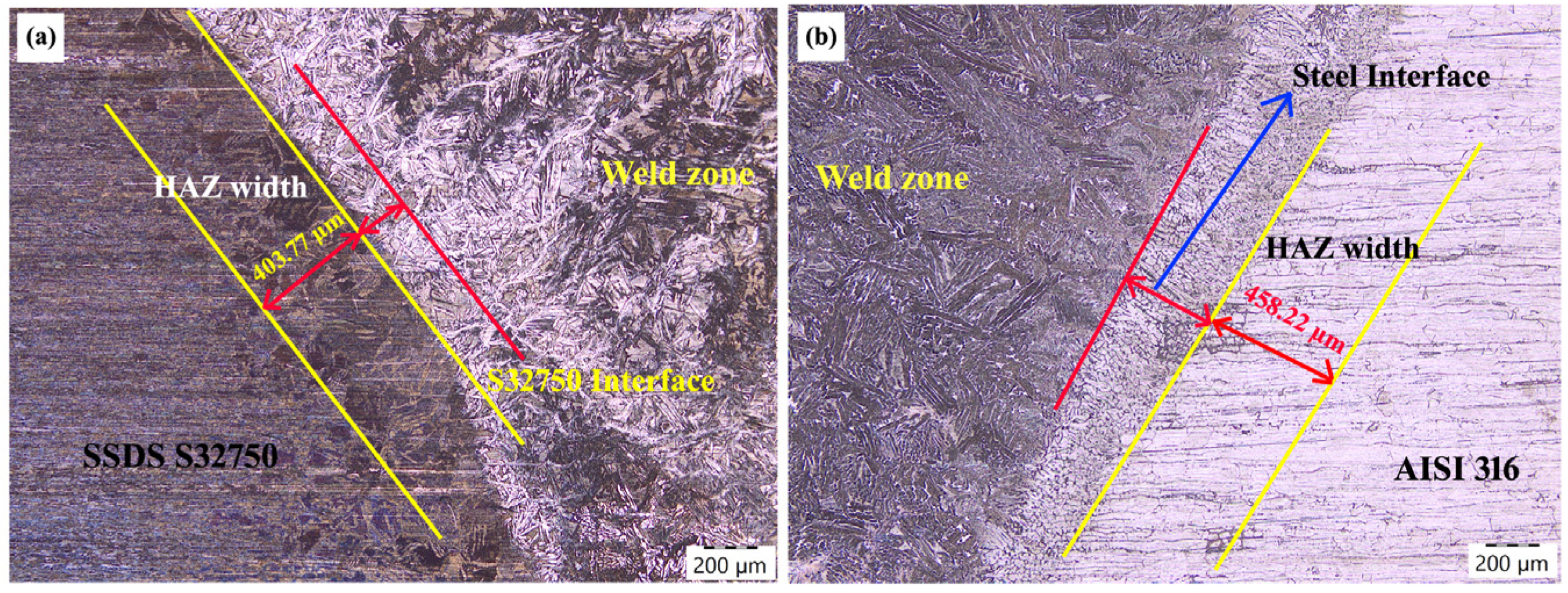 Processes 13 00167 g006