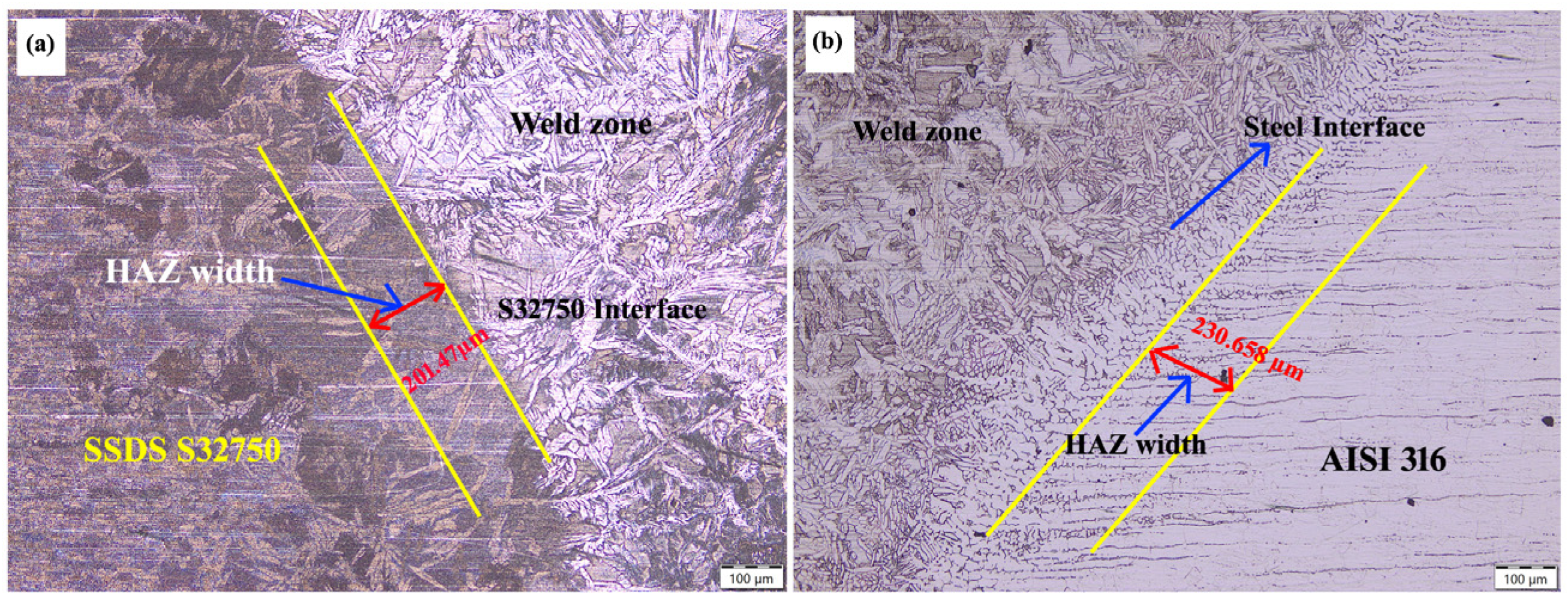 Processes 13 00167 g010