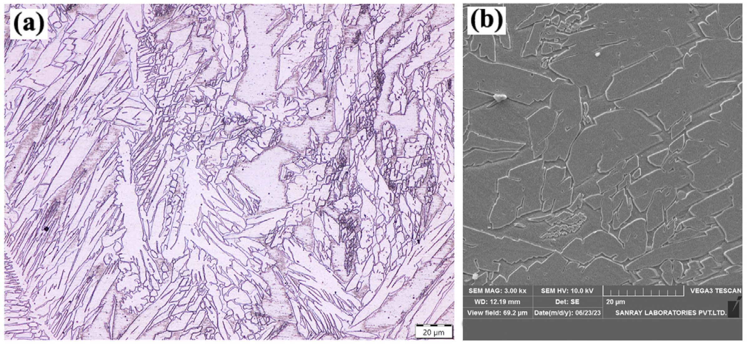 Processes 13 00167 g011