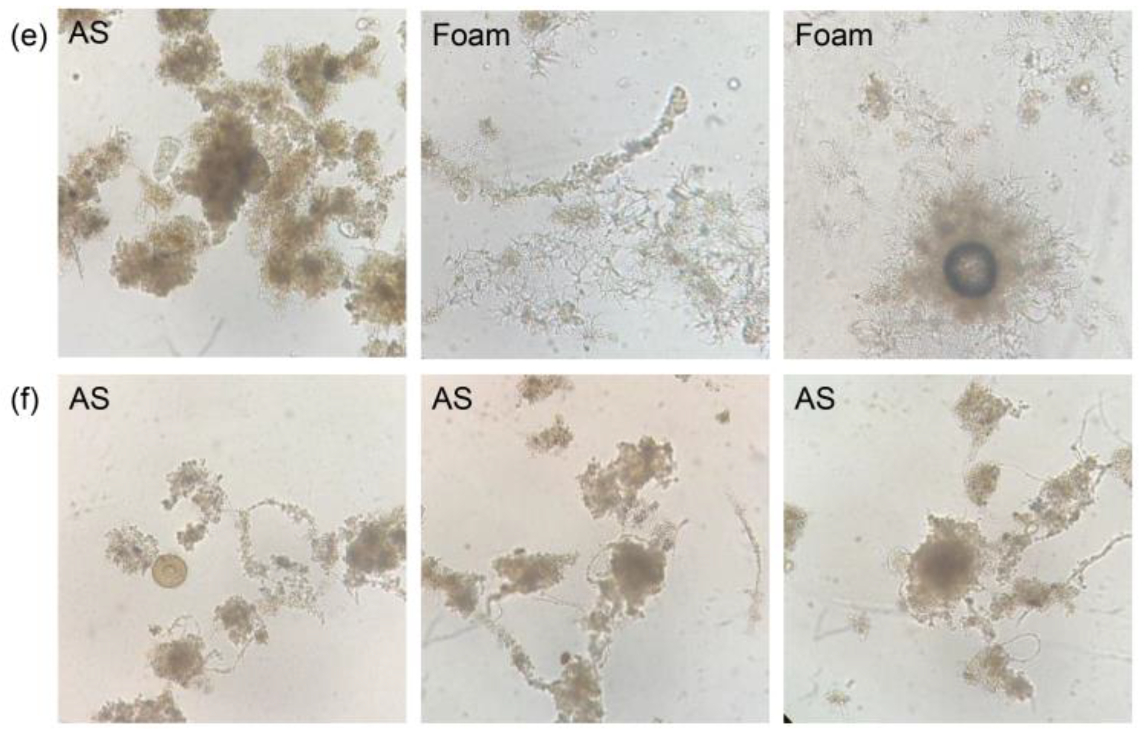 Processes 13 00169 g001b