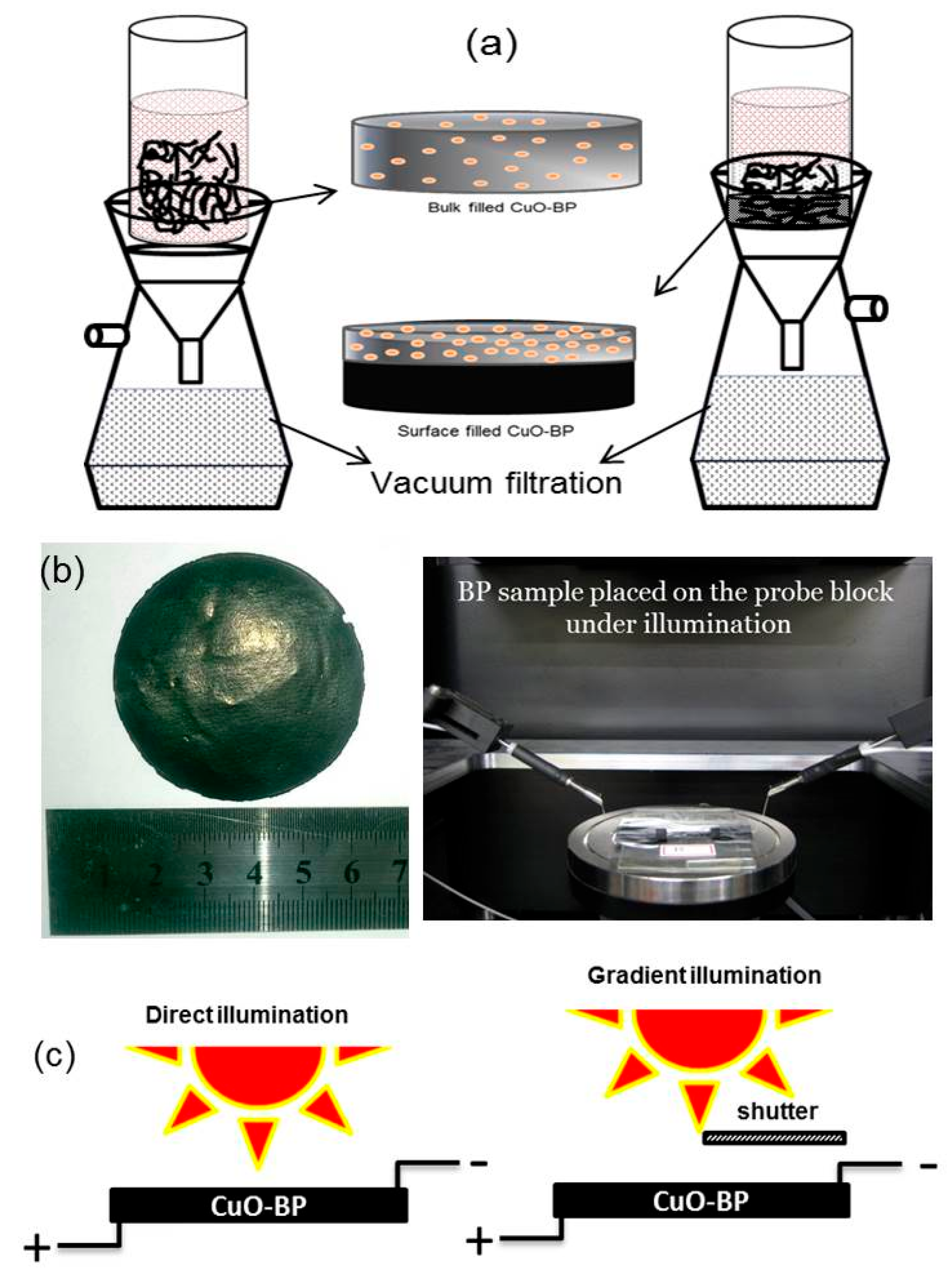 Processes 13 00188 g001