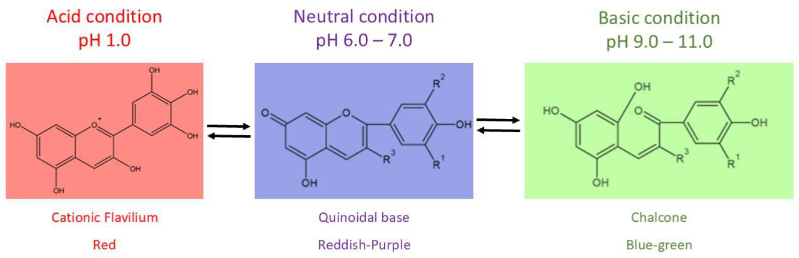 Processes 13 00191 g002