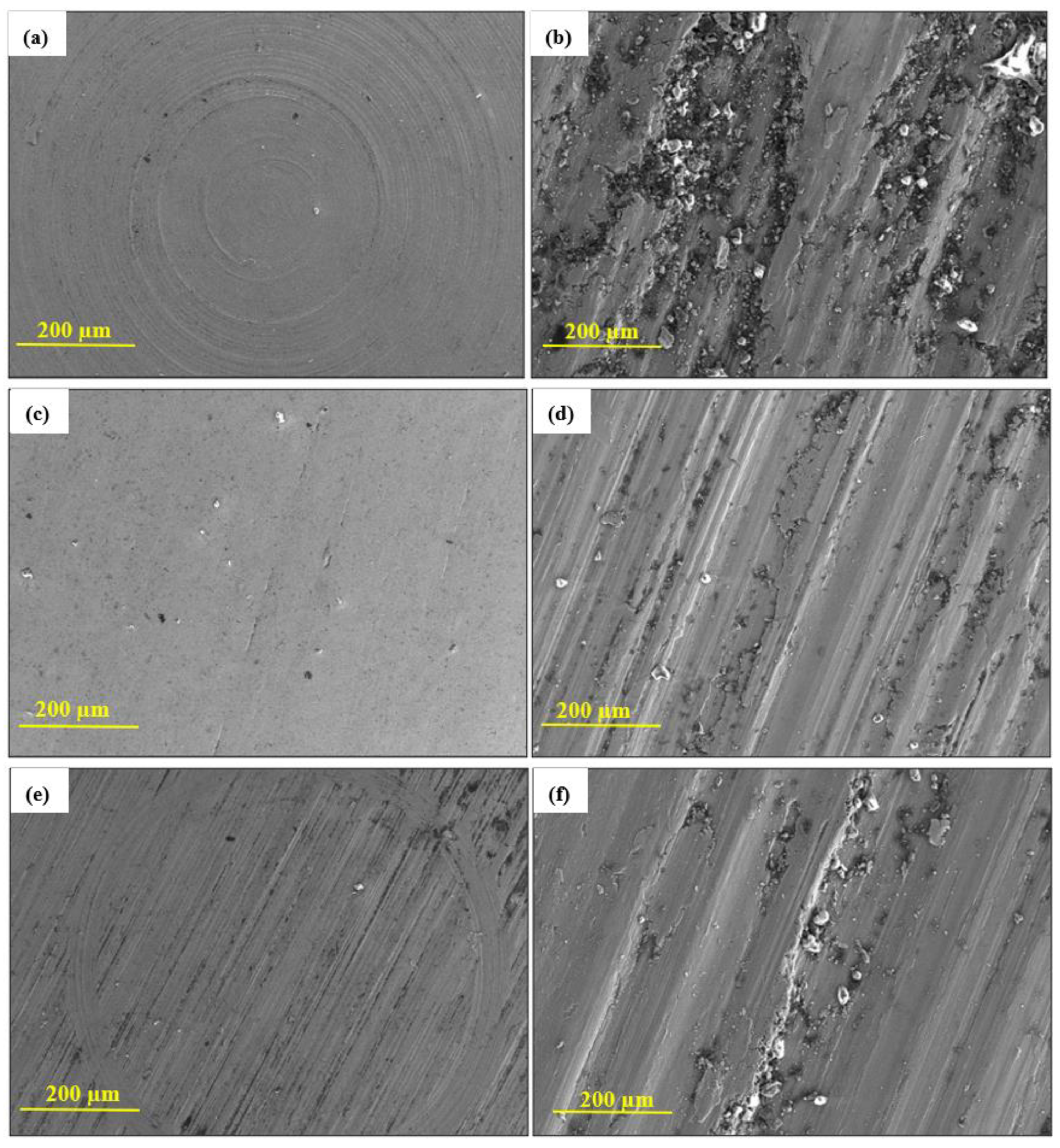 Processes 13 00204 g008a