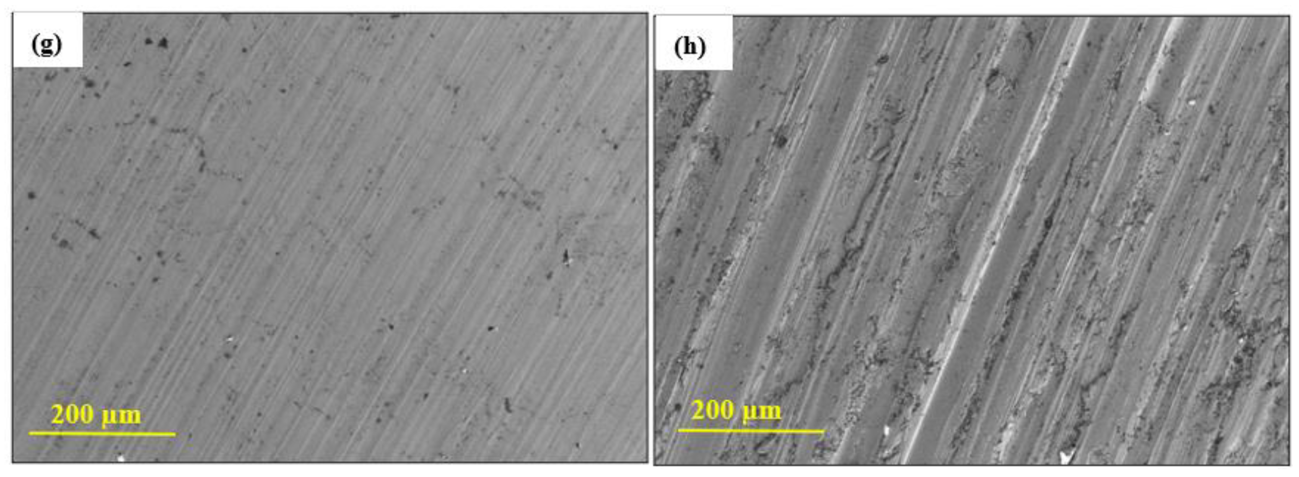 Processes 13 00204 g008b